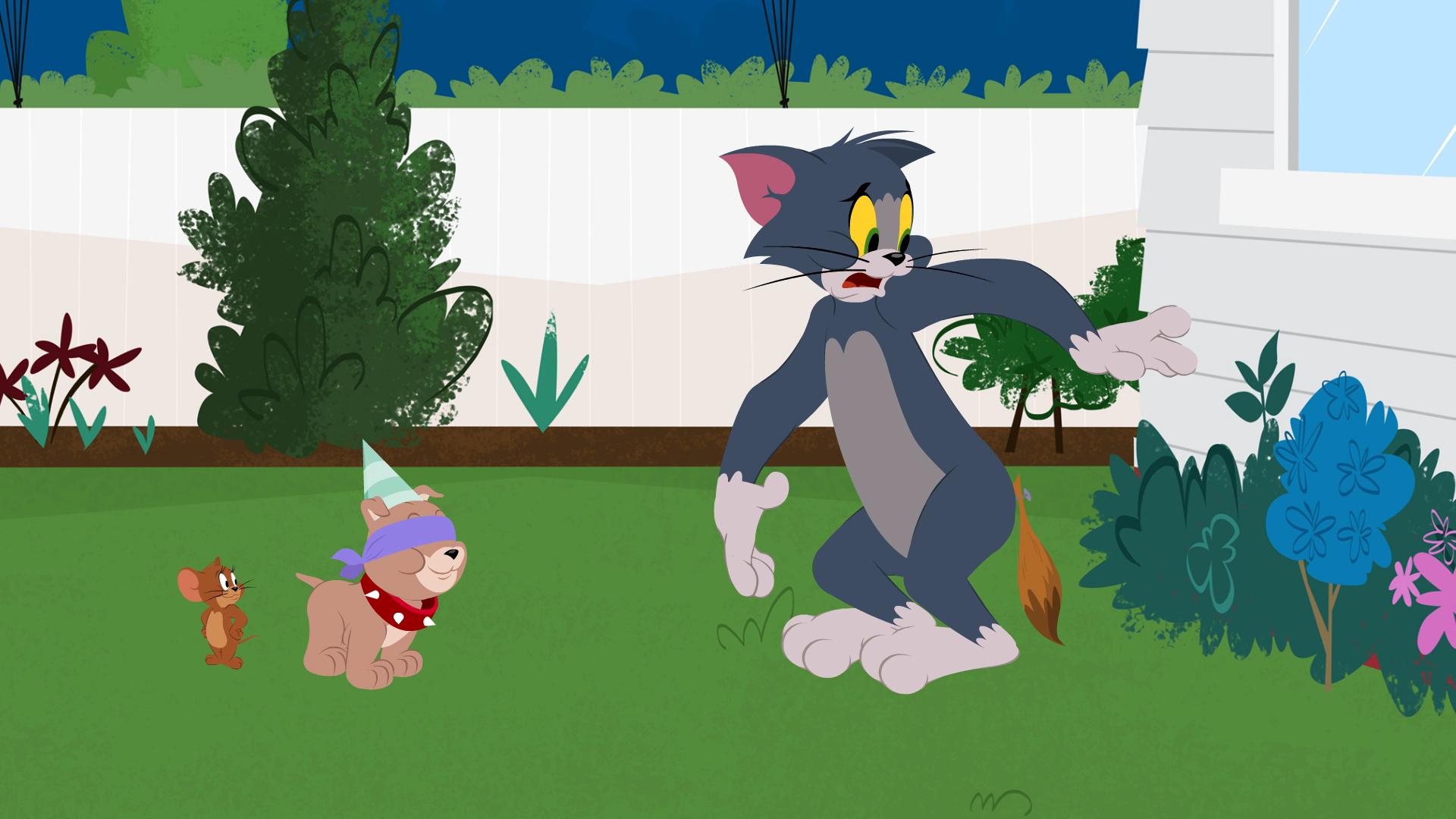 Tom jerry 2. Tom and Jerry show. Шоу Тома и Джерри том. Том и Джерри шоу 2014.