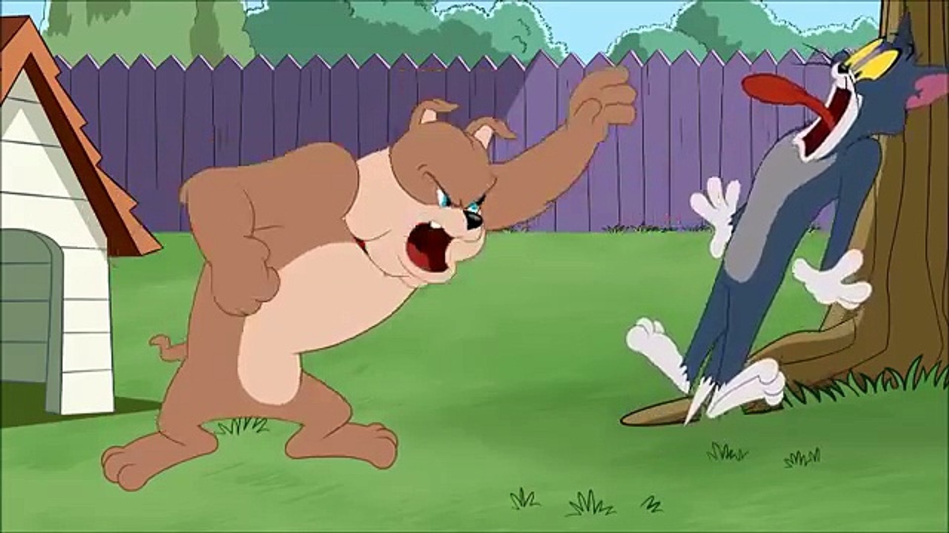 The Tom and Jerry Show. Frown and Country
