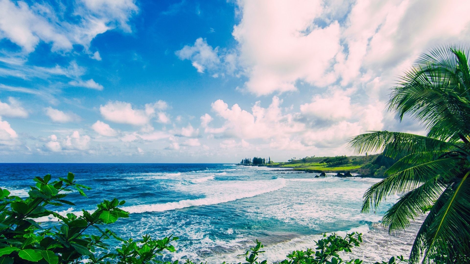 Ocean Waves Clouds Palm Maui Beach Hawaii Blue Palms Wallpaper Maui Hawaii HD Wallpaper