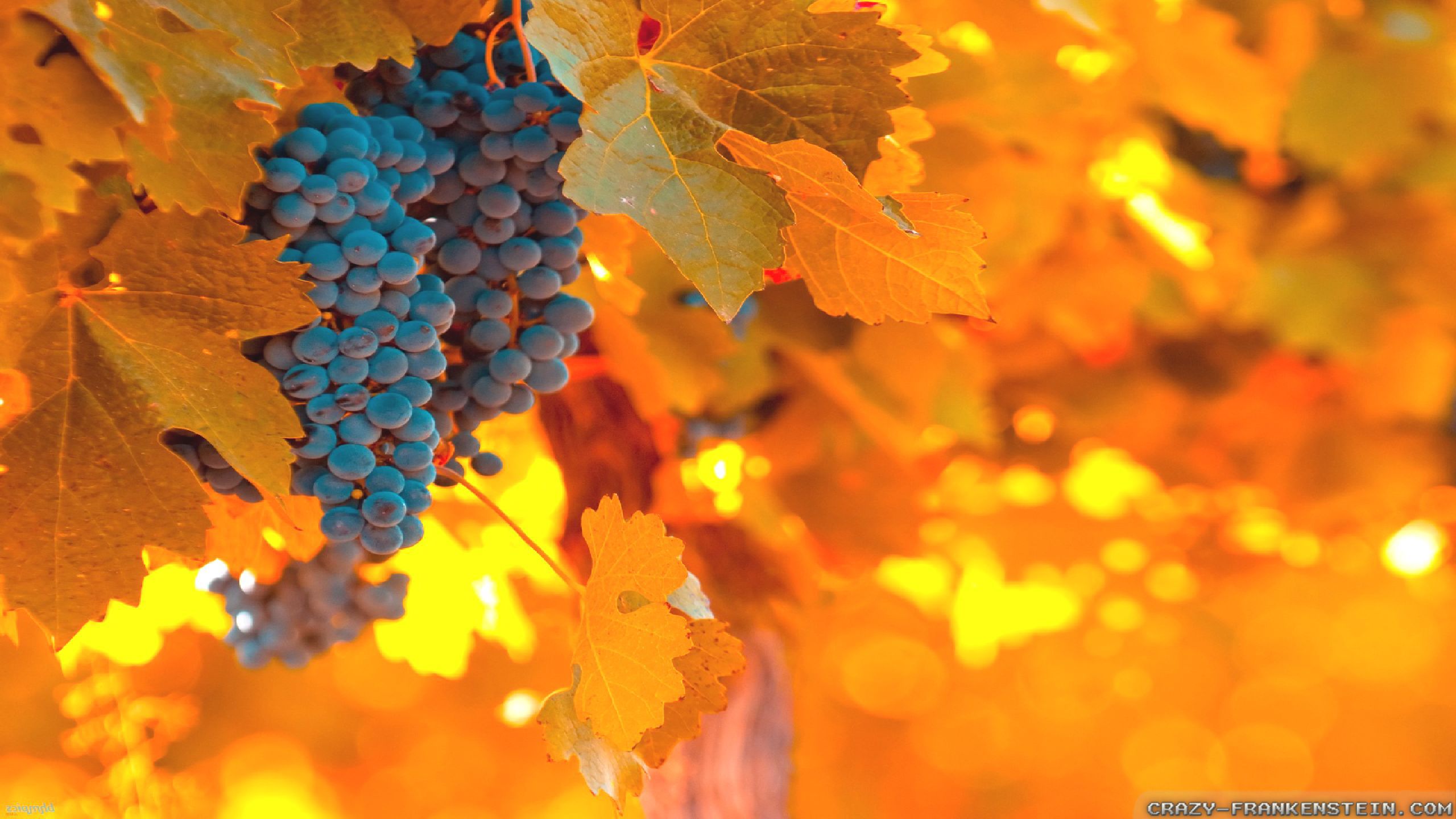 Autumn In Italy wallpaper