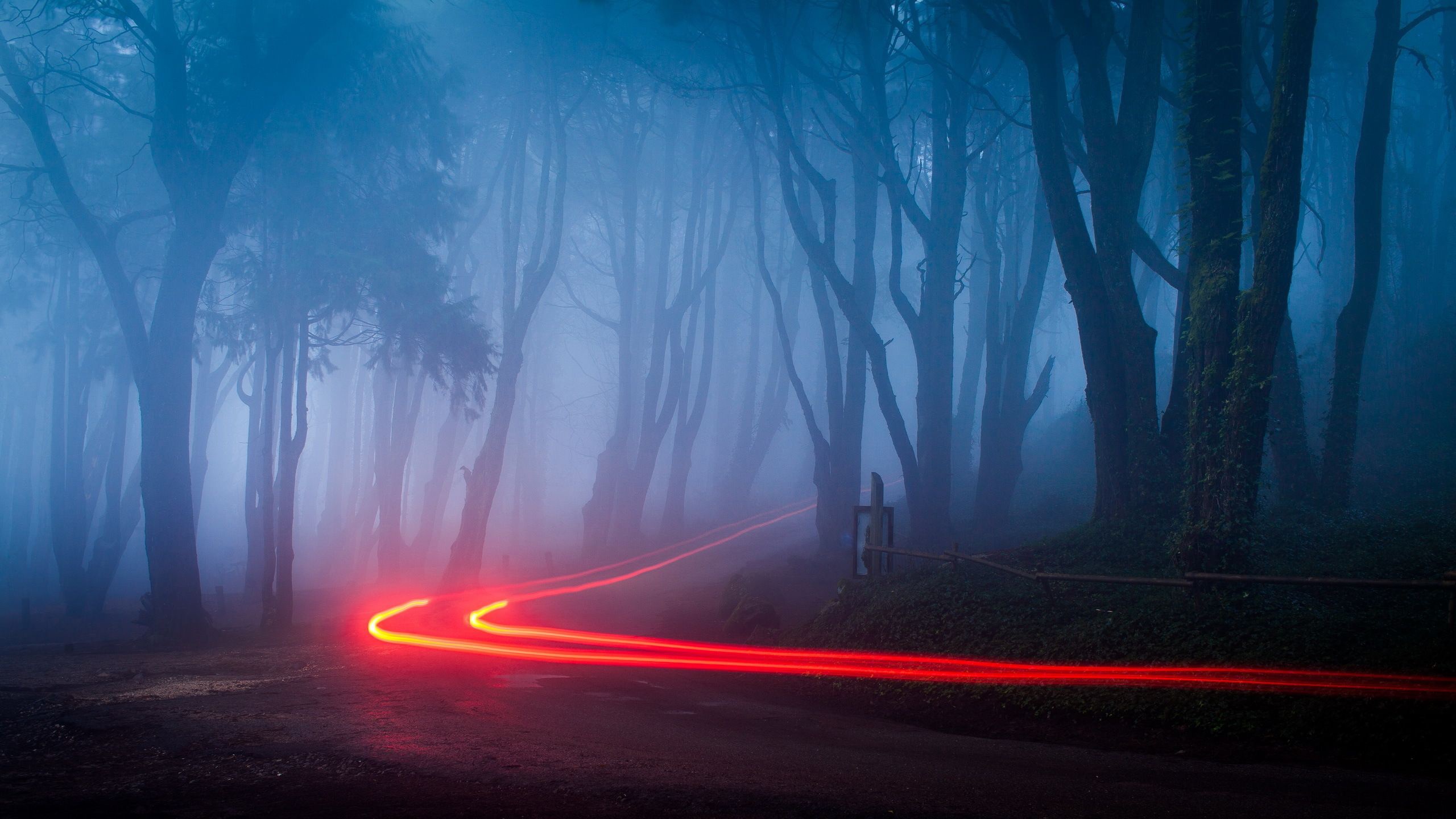 Rainy Foggy Forest Desktop Wallpapers - Wallpaper Cave