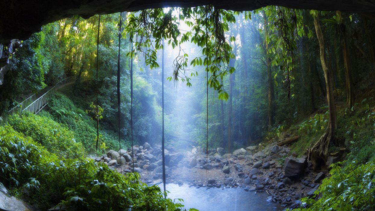 Landscapes rain forest drog fog mist trees woods water pool sunlight filtered wallpaperx1080