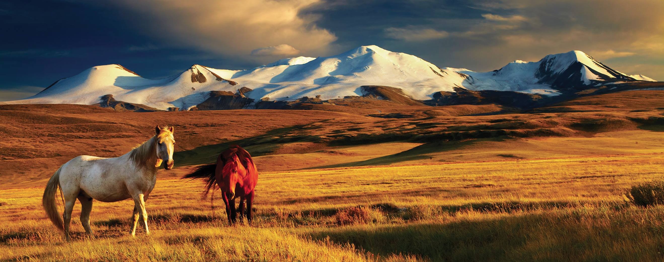 Wallpaper, Mongolia, t ken, horse, mountains 2639x1042