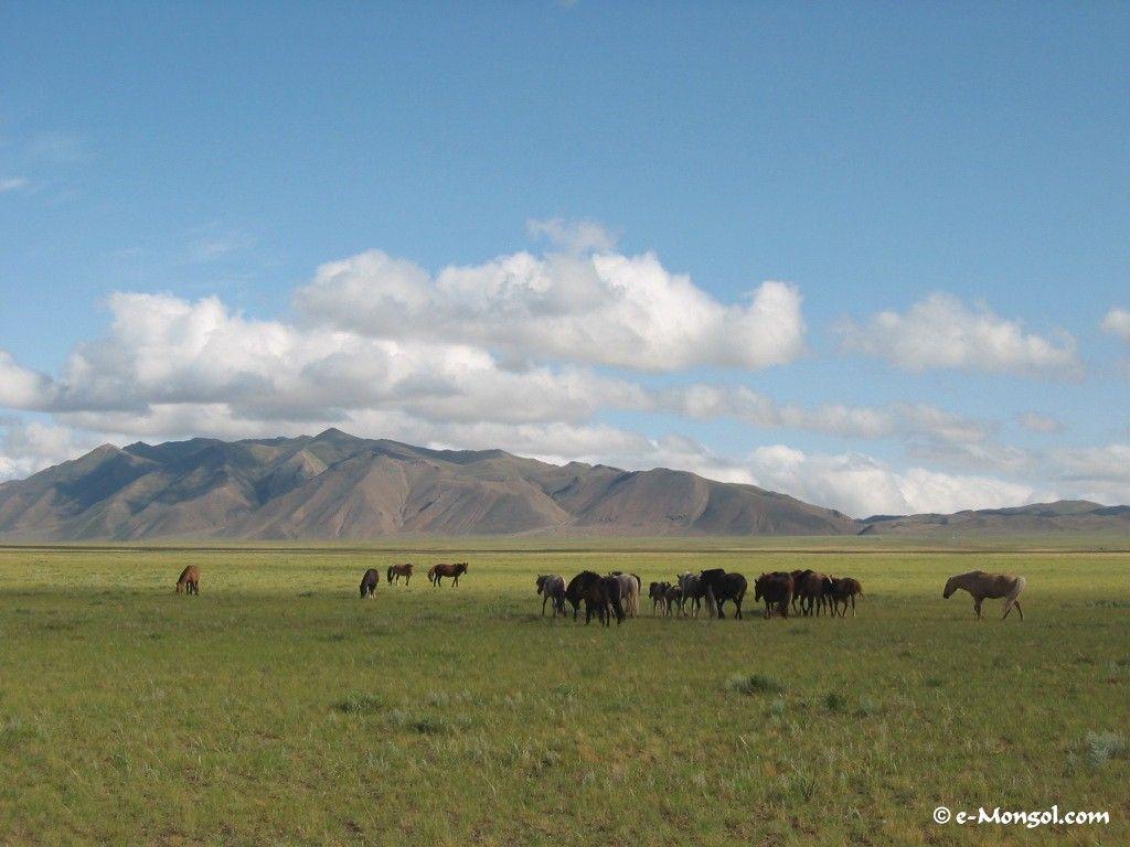 Mongolia Wallpaper 2020