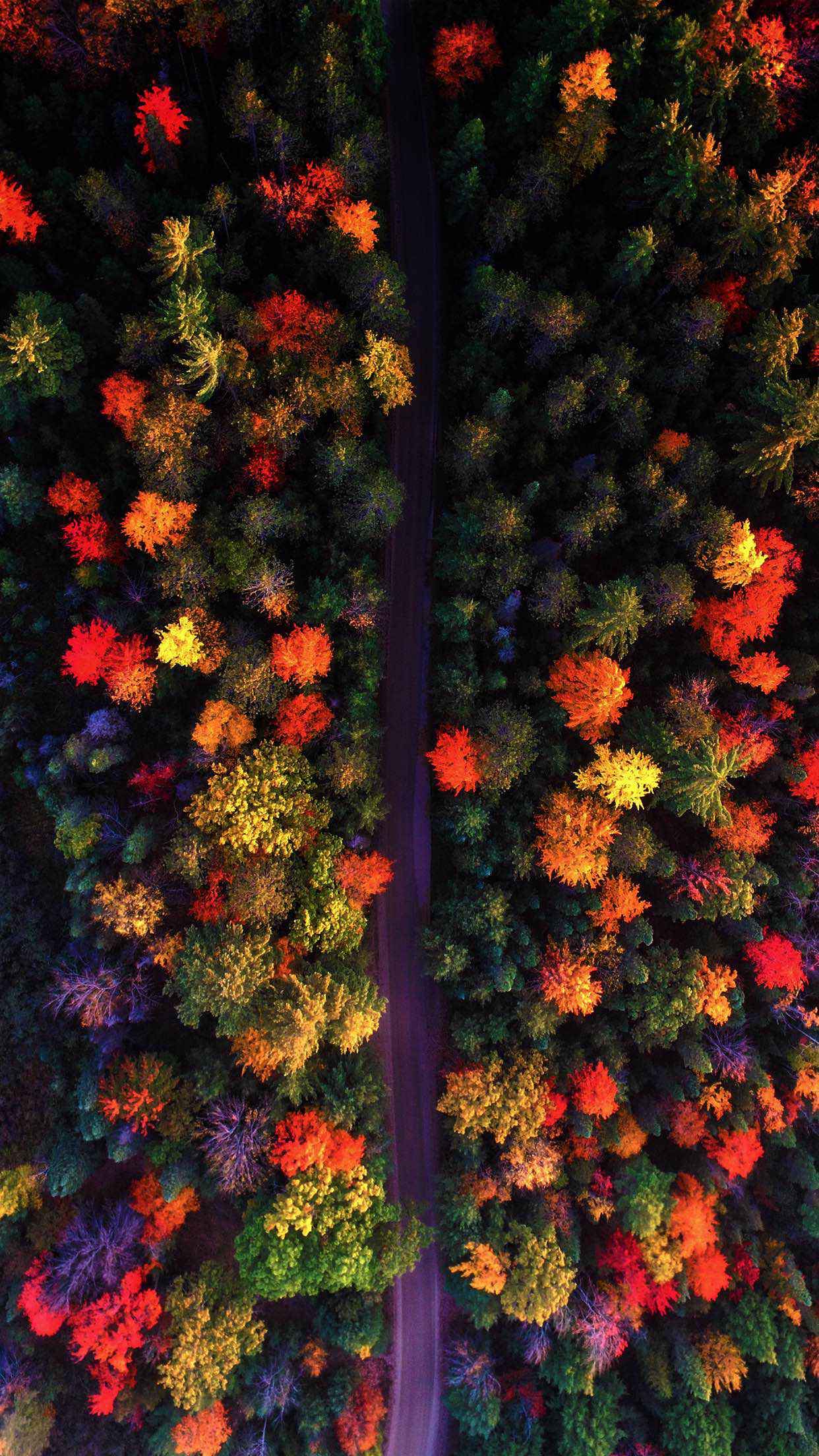 15++ Autumn Wallpaper iPhone 11