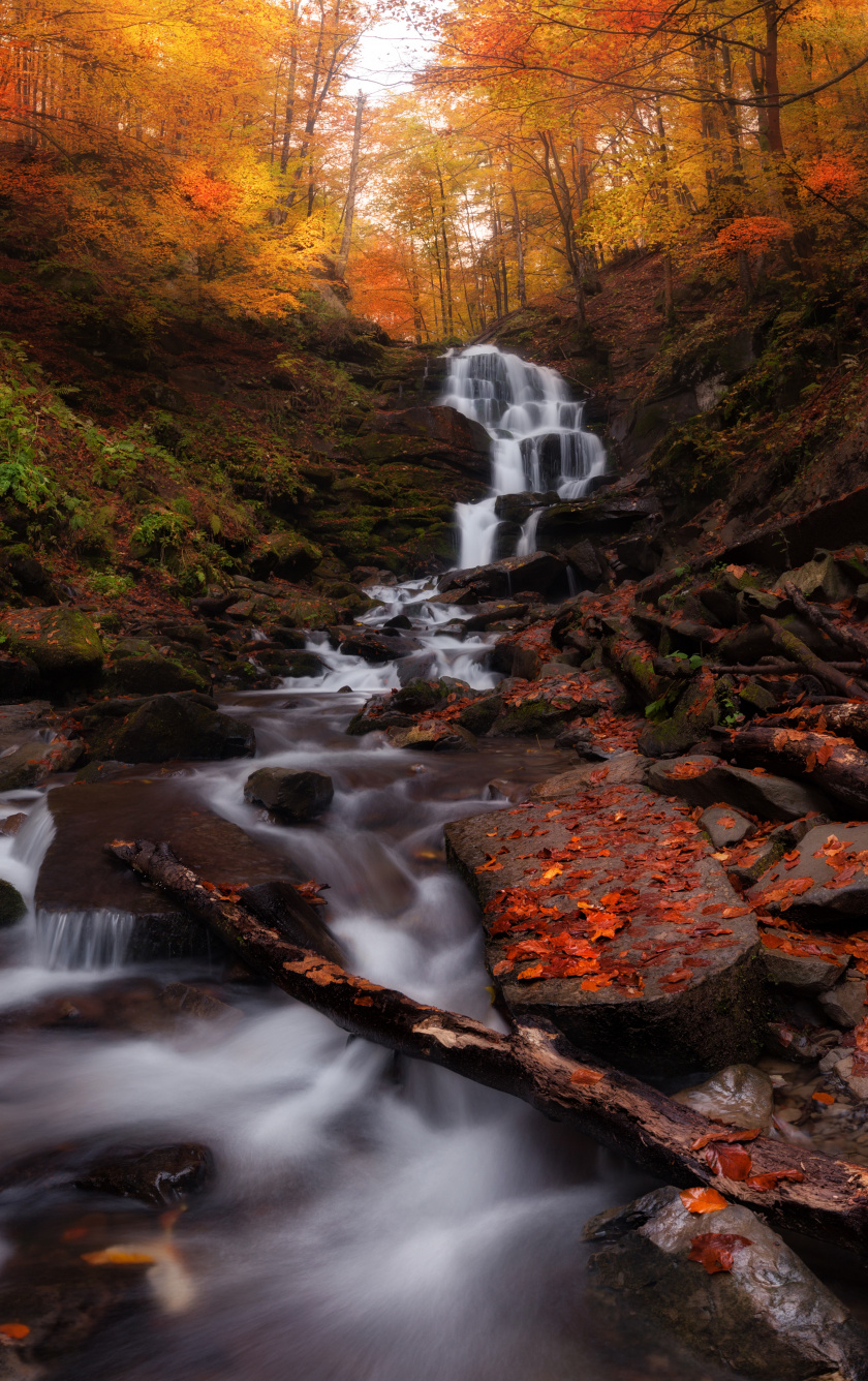Download Autumn, forest, waterfall, water stream, nature wallpaper, 840x iPhone iPhone 5S, iPhone 5C, iPod Touch