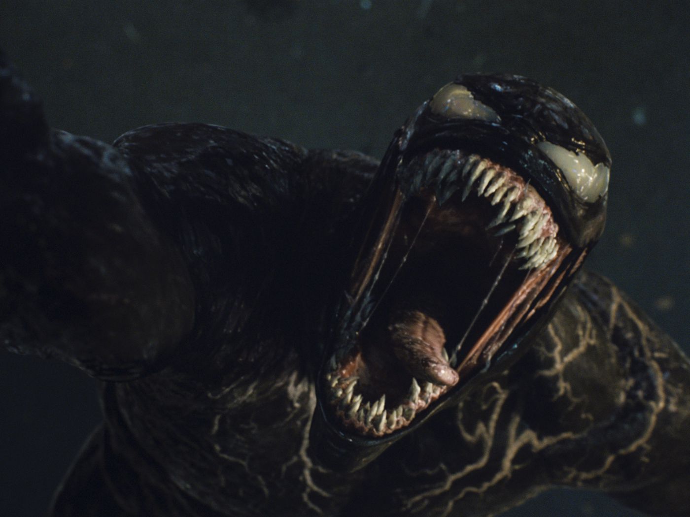 Scary Venom Wallpapers Wallpaper Cave
