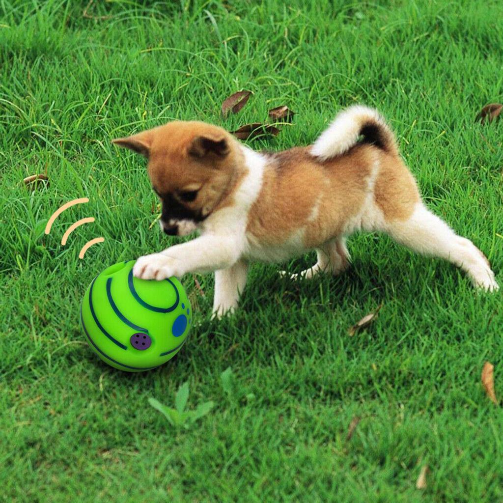 Buy Giggle Ball Pet Dog Toys Surprise Rolling Shaken Interactive w/ Sound at affordable prices