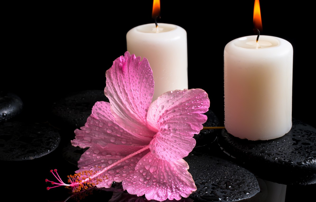 Wallpaper flower, water, drops, candles, hibiscus, Spa stones image for desktop, section цветы