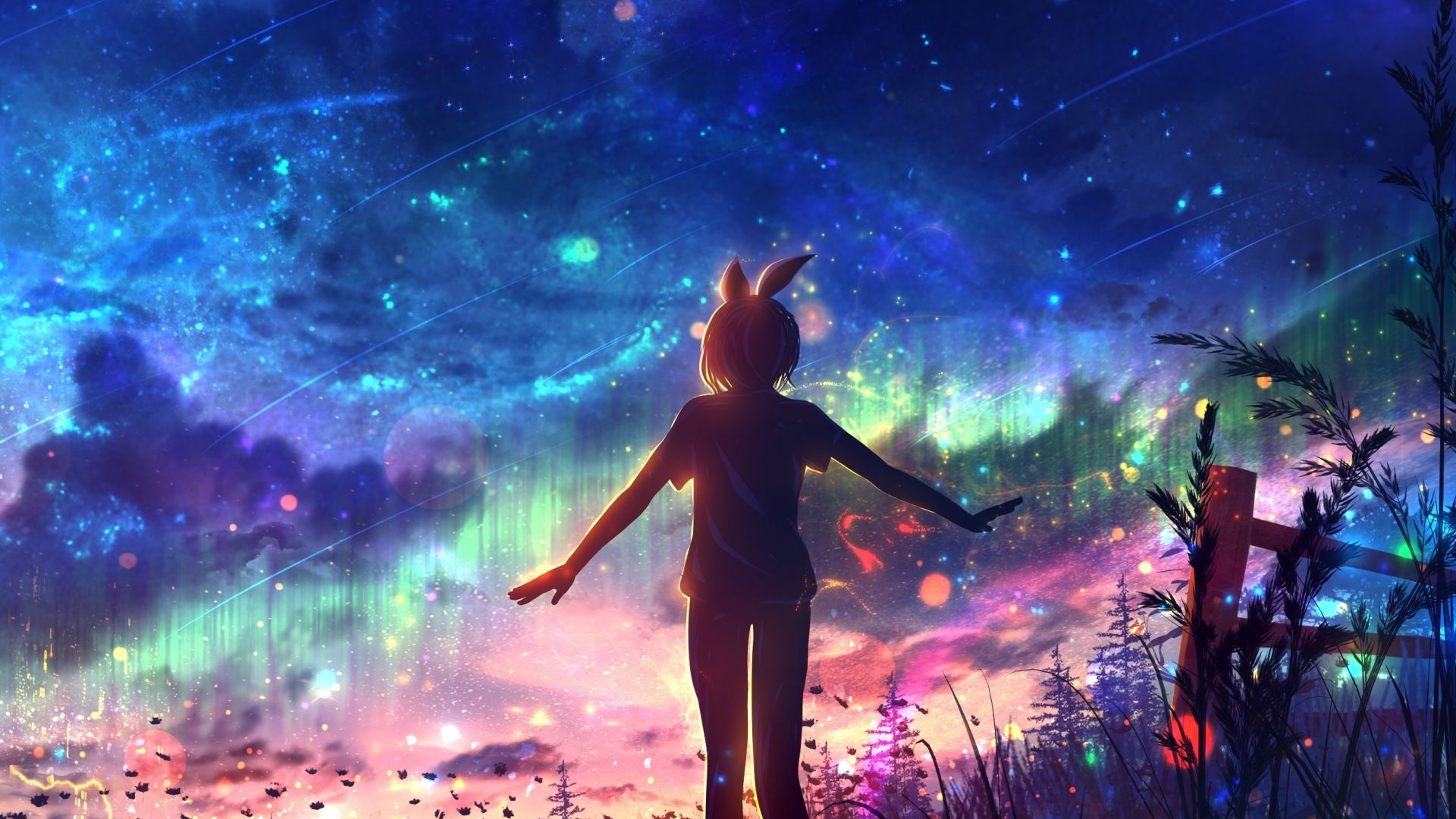 Desktop wallpaper outdoor, night, colorful sky, fallen stars, anime art, HD image, picture, background, 2e5c80