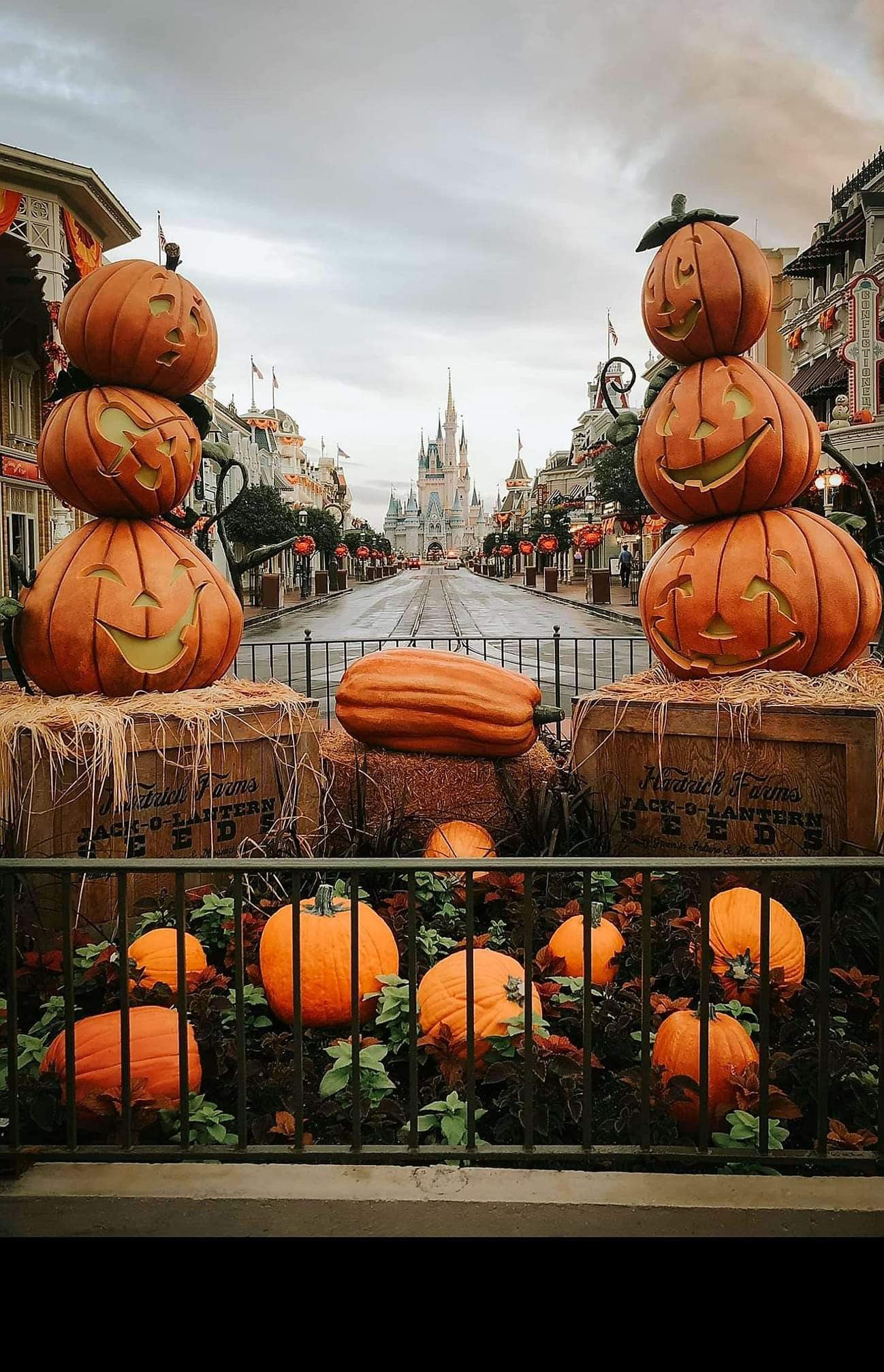 Aesthetic Halloween Disney Wallpaper