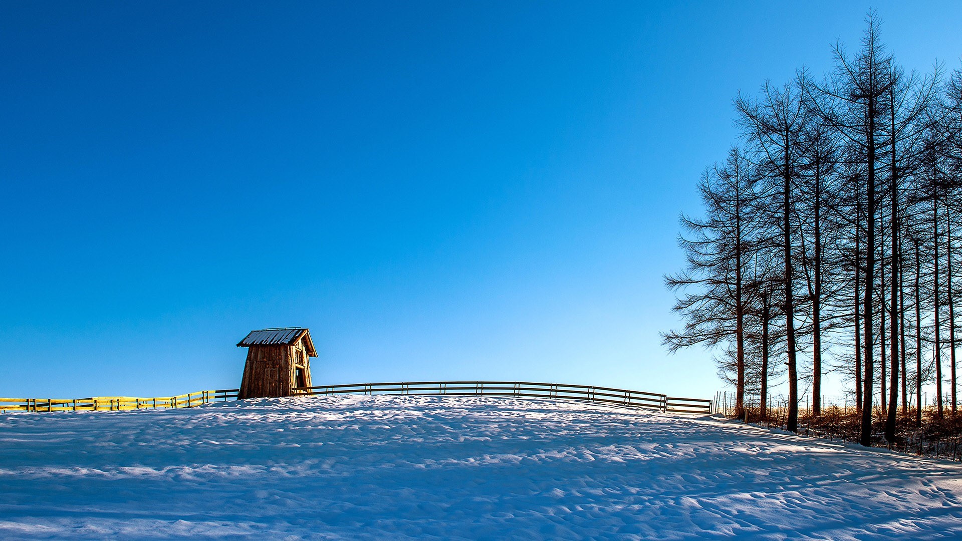 trees, sky, fence, snow, South Korea, cottage, nature. Mocah HD Wallpaper