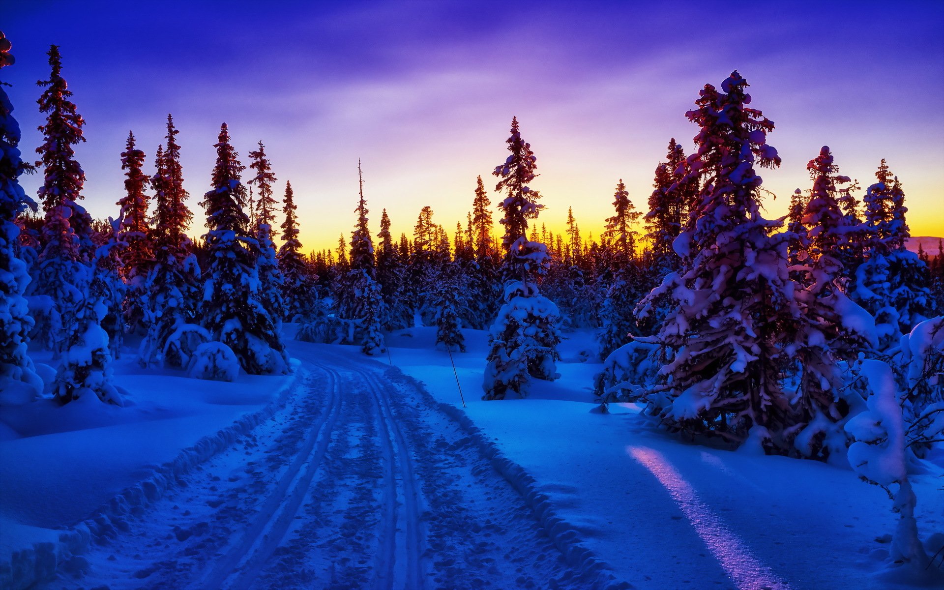Winter Forest Snow Road Sunset wallpaper. Winter Forest Snow Road Sunset