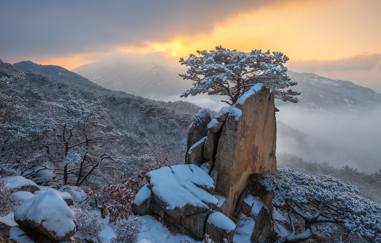 Wallpaper winter, clouds, snow, landscape, mountains, nature, fog, tree, rocks, dawn, morning, forest, pine, South Korea, reserve, Pukhansan image for desktop, section пейзажи