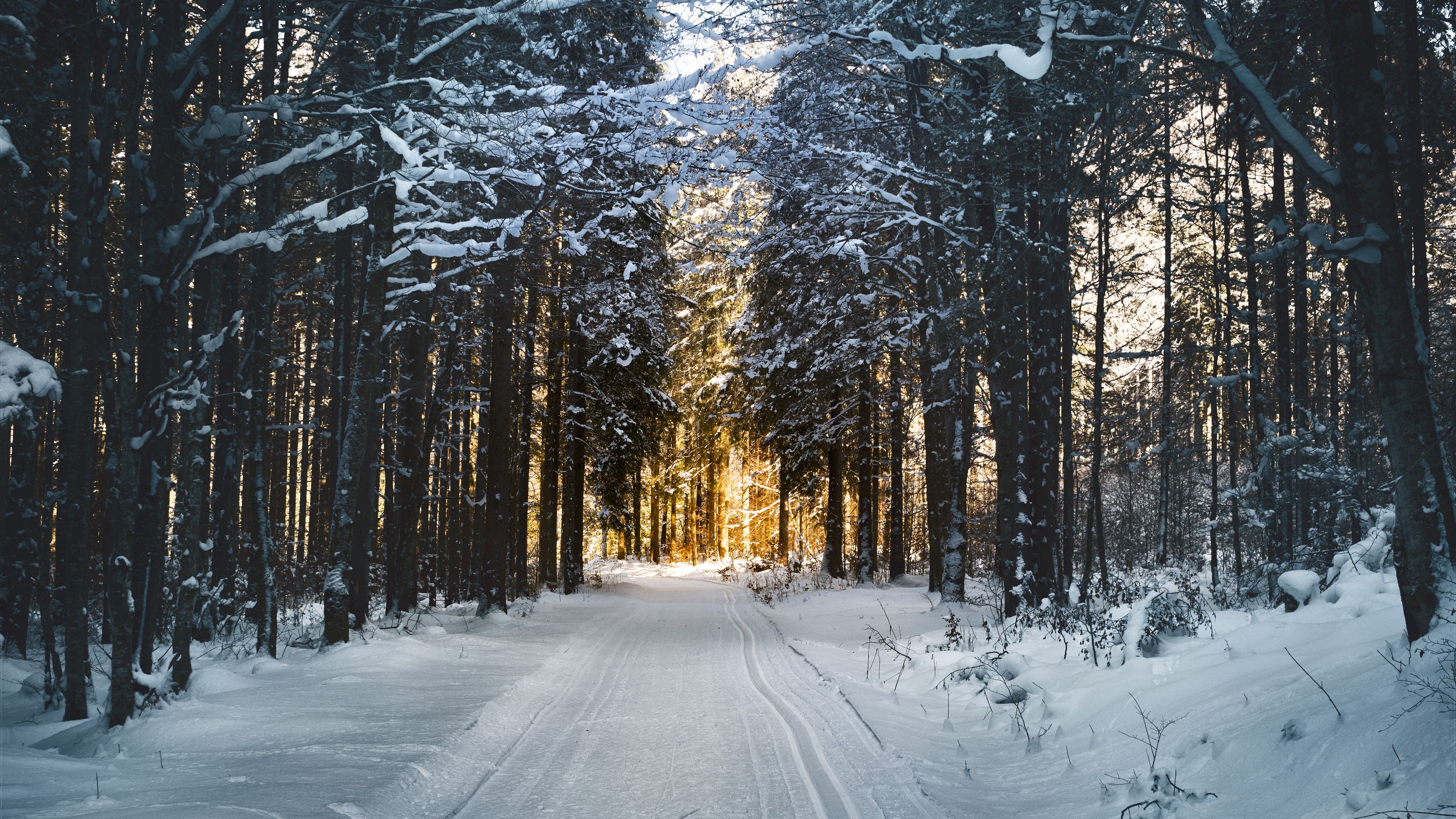 Download wallpaper 3840x2160 winter, snow, road, trees 4k uhd 16:9 HD background
