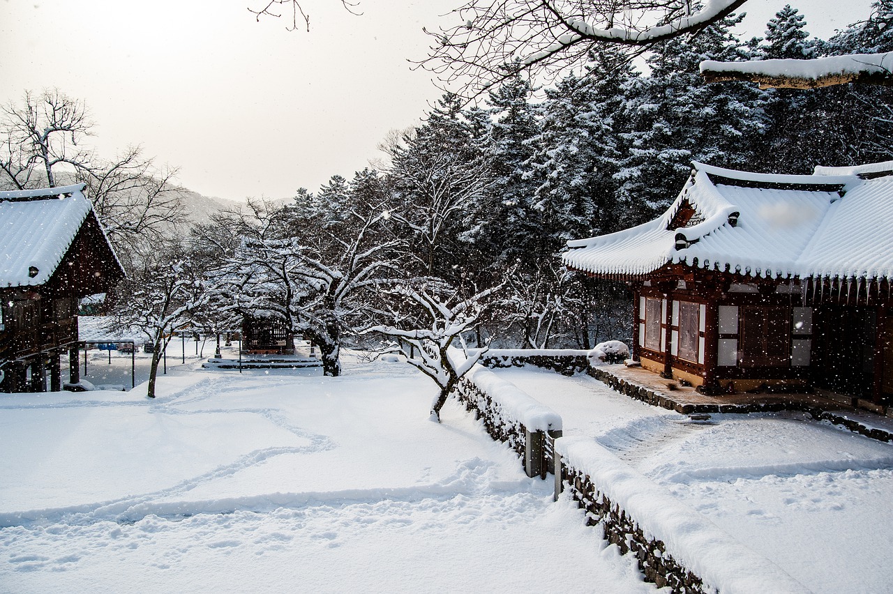 Южная Корея зима коре