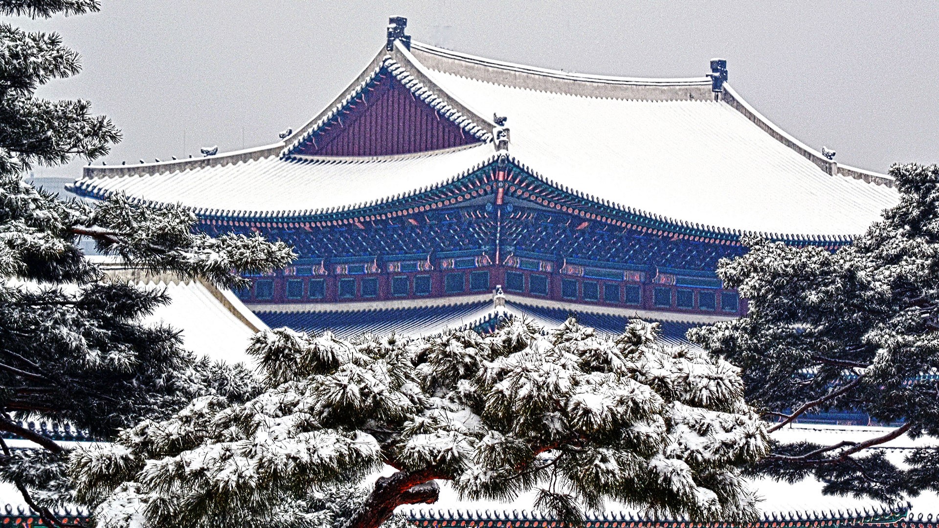 Korea зима