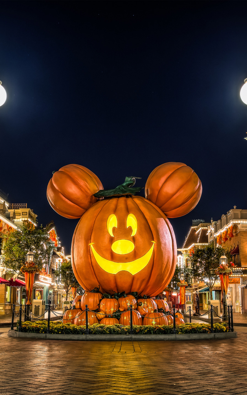 Free download Halloween from Disneyland widescreen wallpaper Wide WallpaperNET [2559x1440] for your Desktop, Mobile & Tablet. Explore Disney Halloween Wallpaper. Free Disney Desktop Wallpaper, Free Disney Desktop Wallpaper