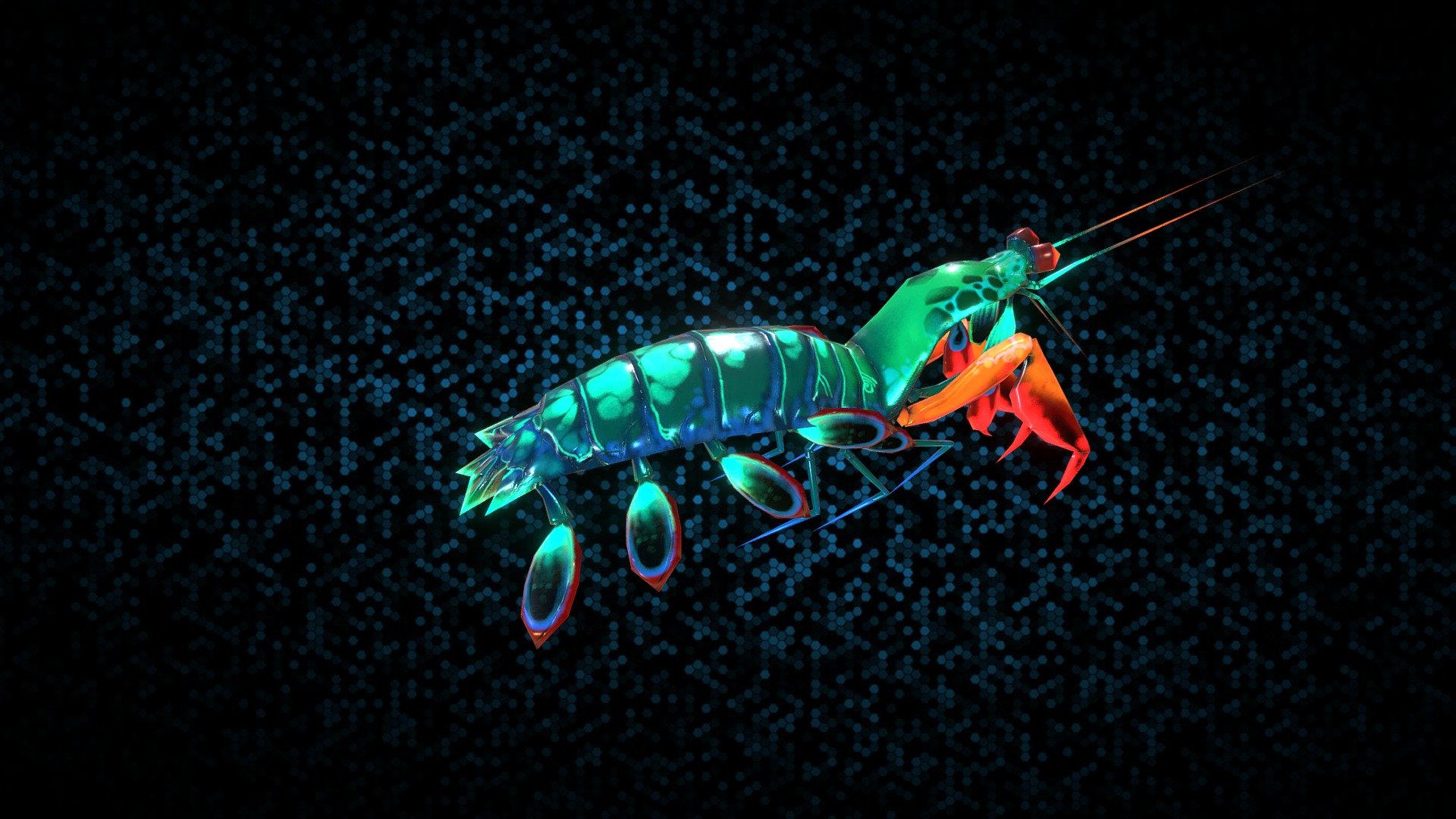 Mantis Shrimp Wallpapers - Wallpaper Cave