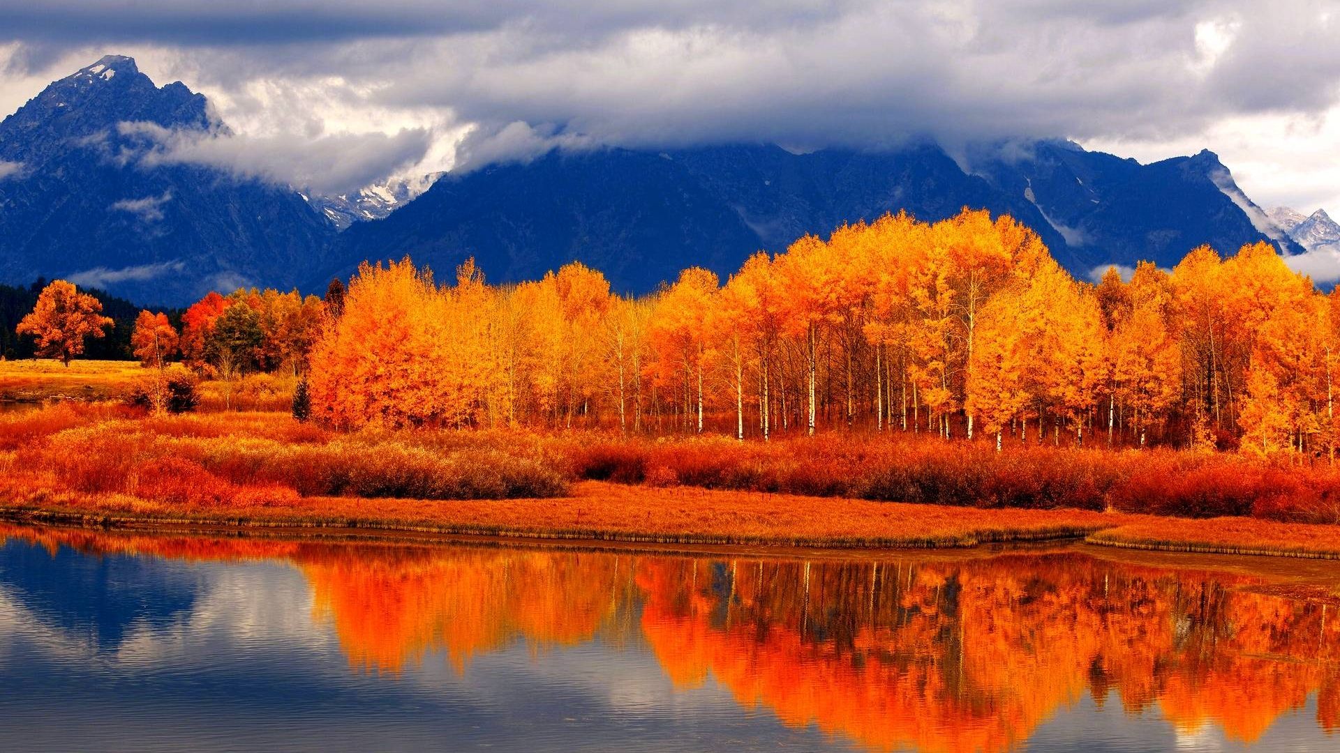 Fall Landscape Wallpaper
