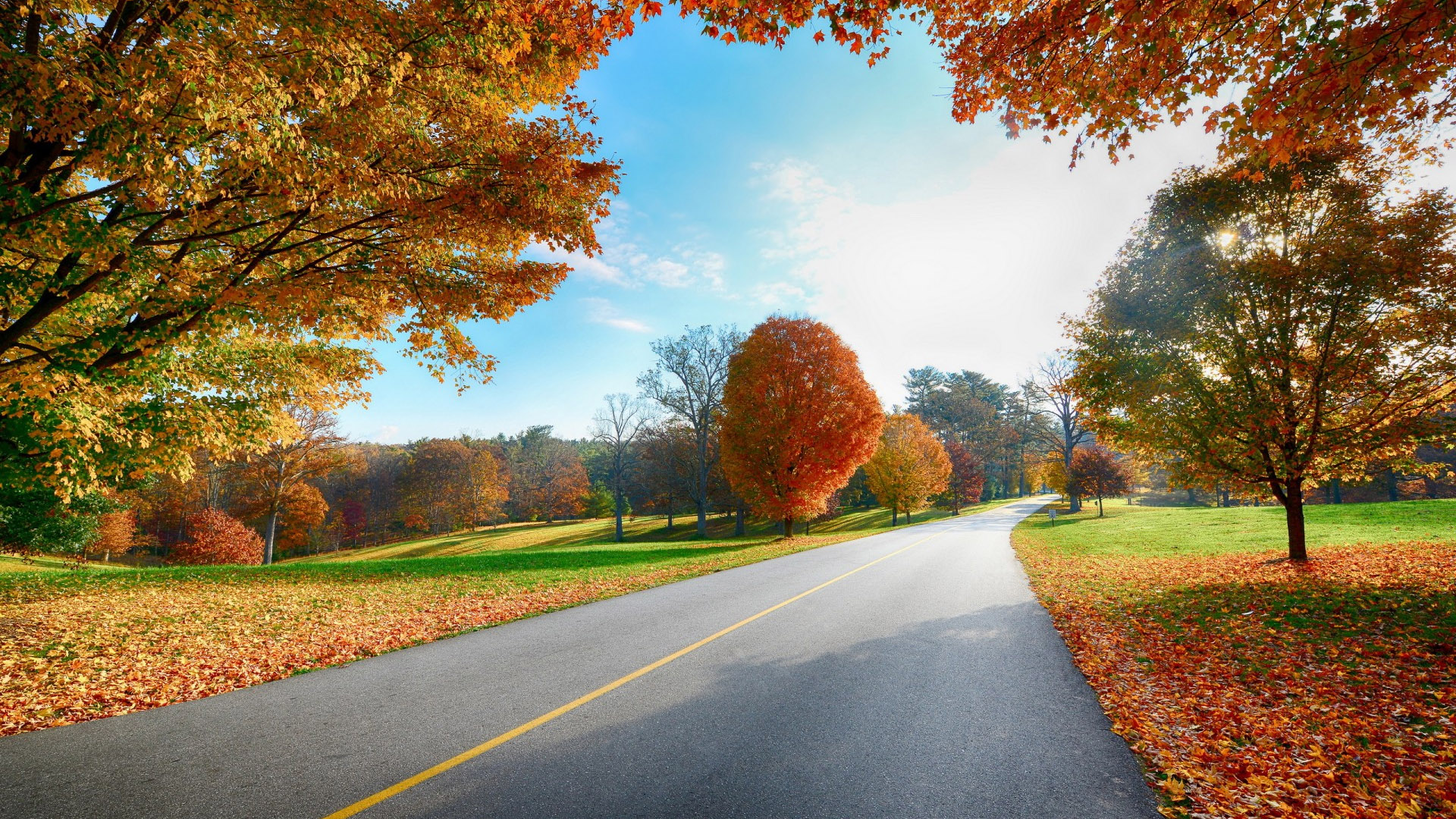Autumn road landscape wallpaper