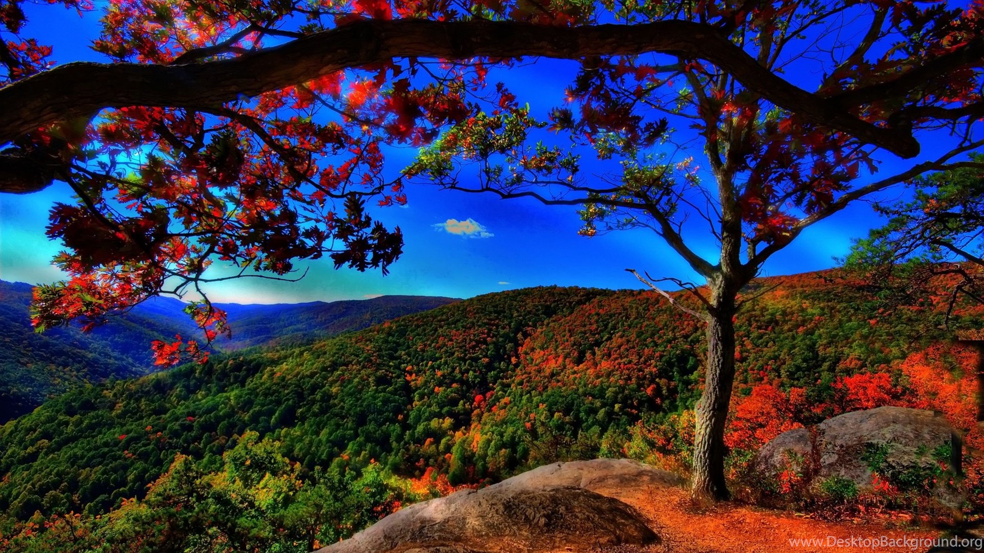 Autumn Free Wallpaper Autumn Landscape Wallpaper HD. Desktop Background