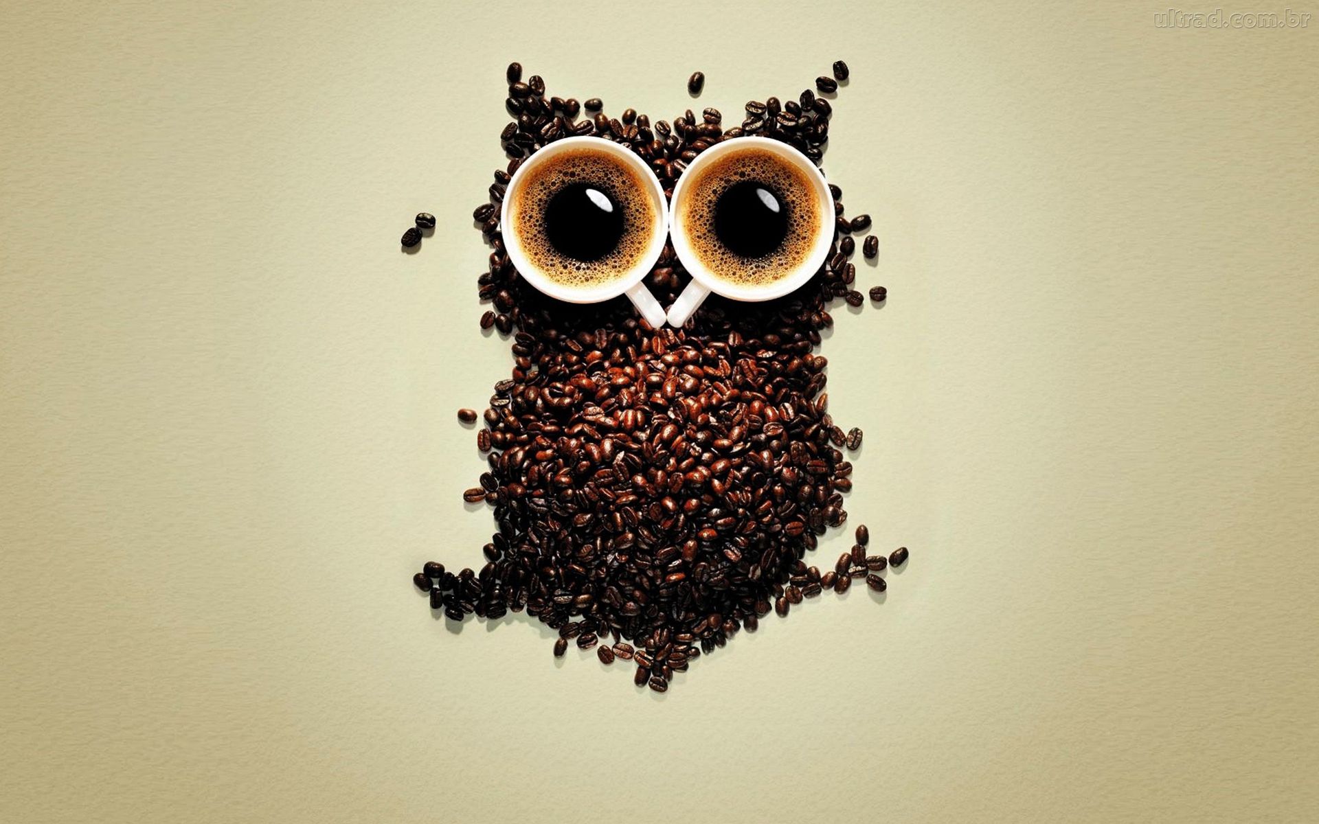 Owl Coffee Art Wallpaper