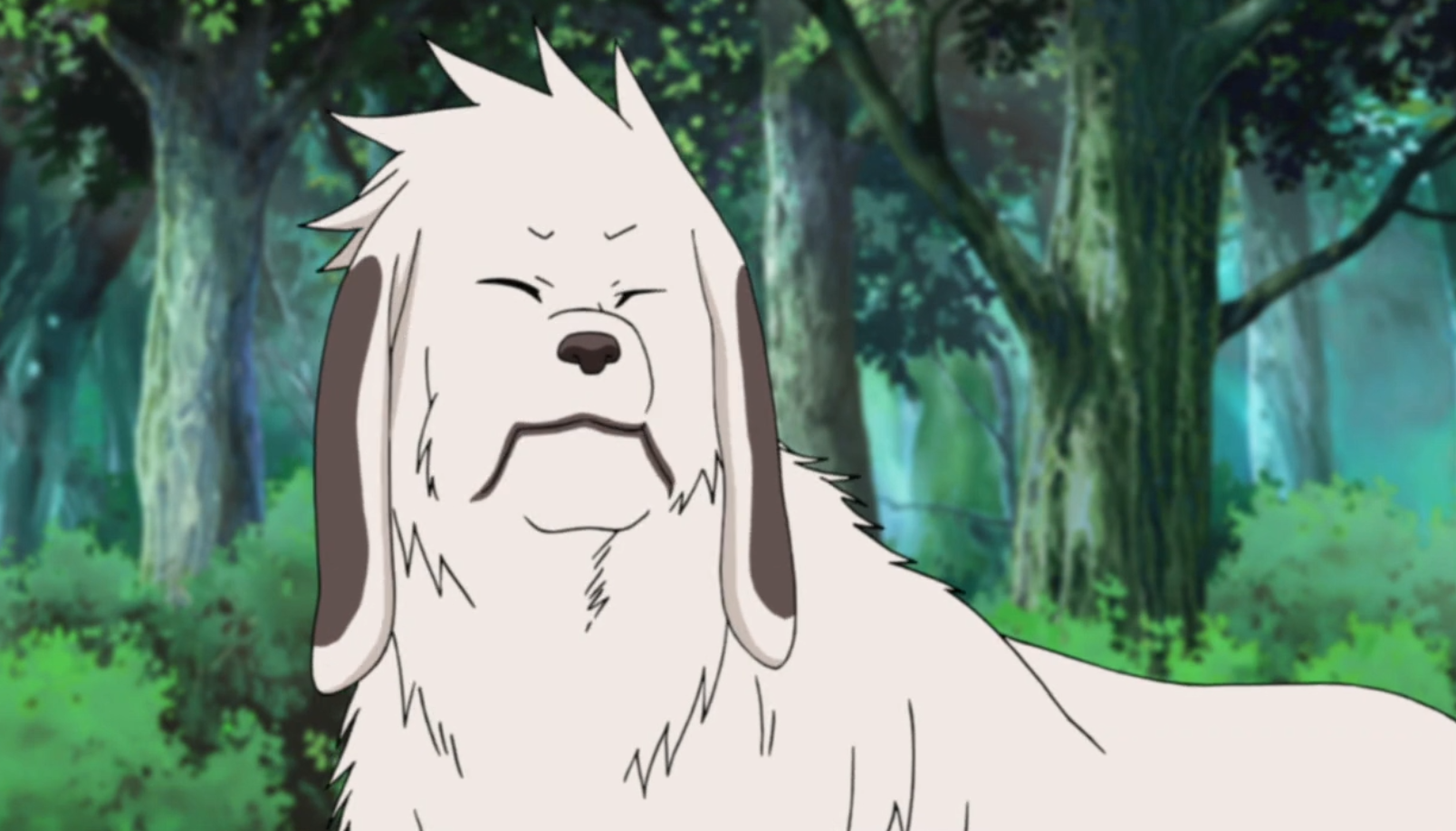 Akamaru (Earth 1529)