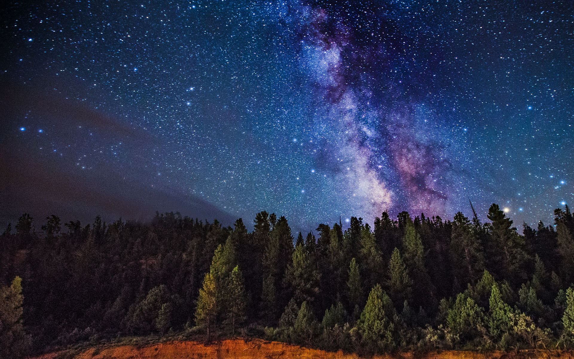 Milky Way over the Forest HD Wallpaper