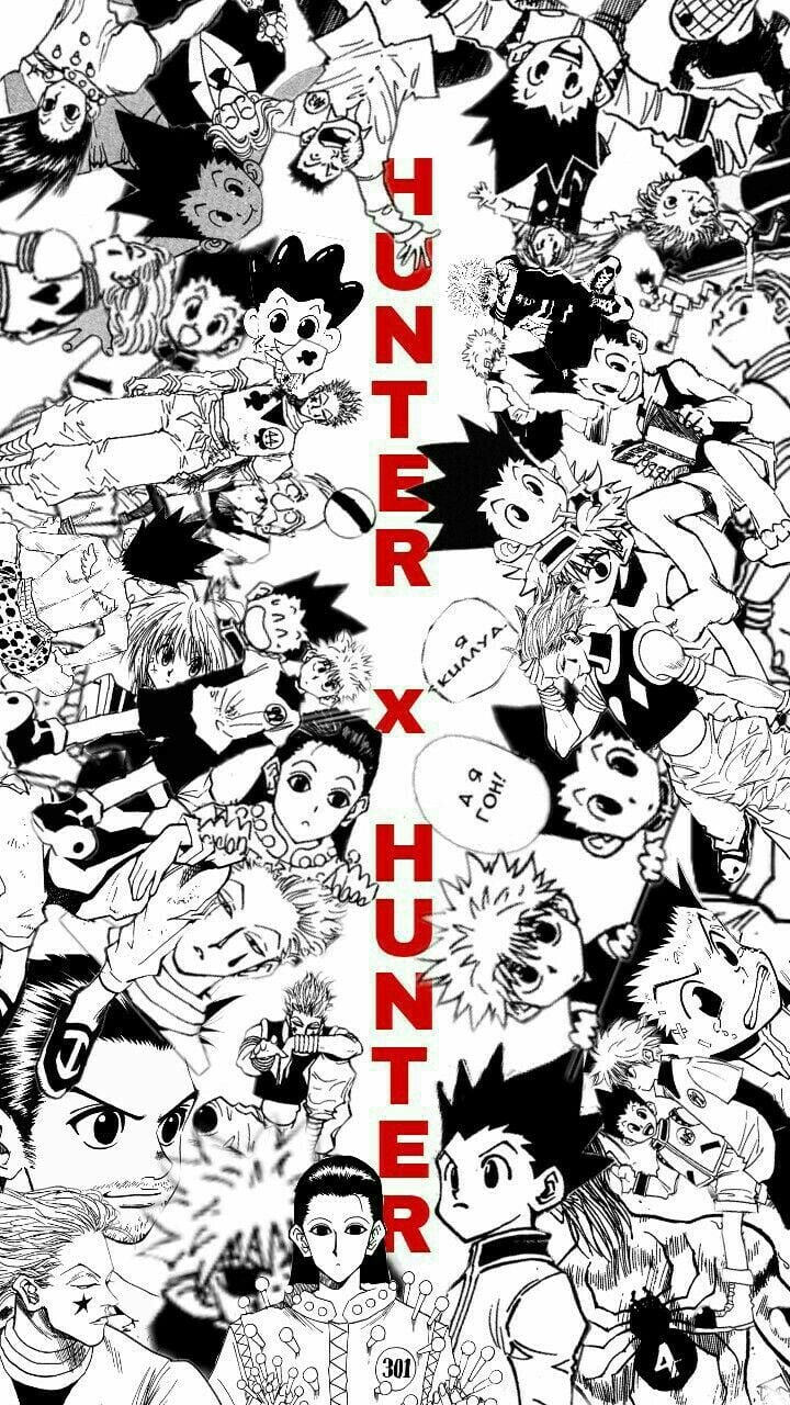 Hunter x Hunter Manga Panel  Manga covers, Hunter anime, Manga pages