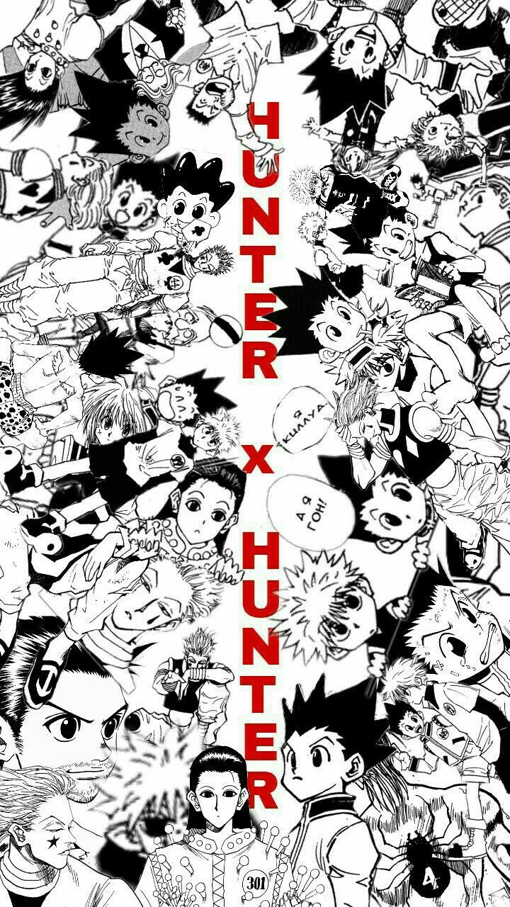 Hunter x Hunter Manga Panel  Haikyuu manga, Hunter anime, Manga