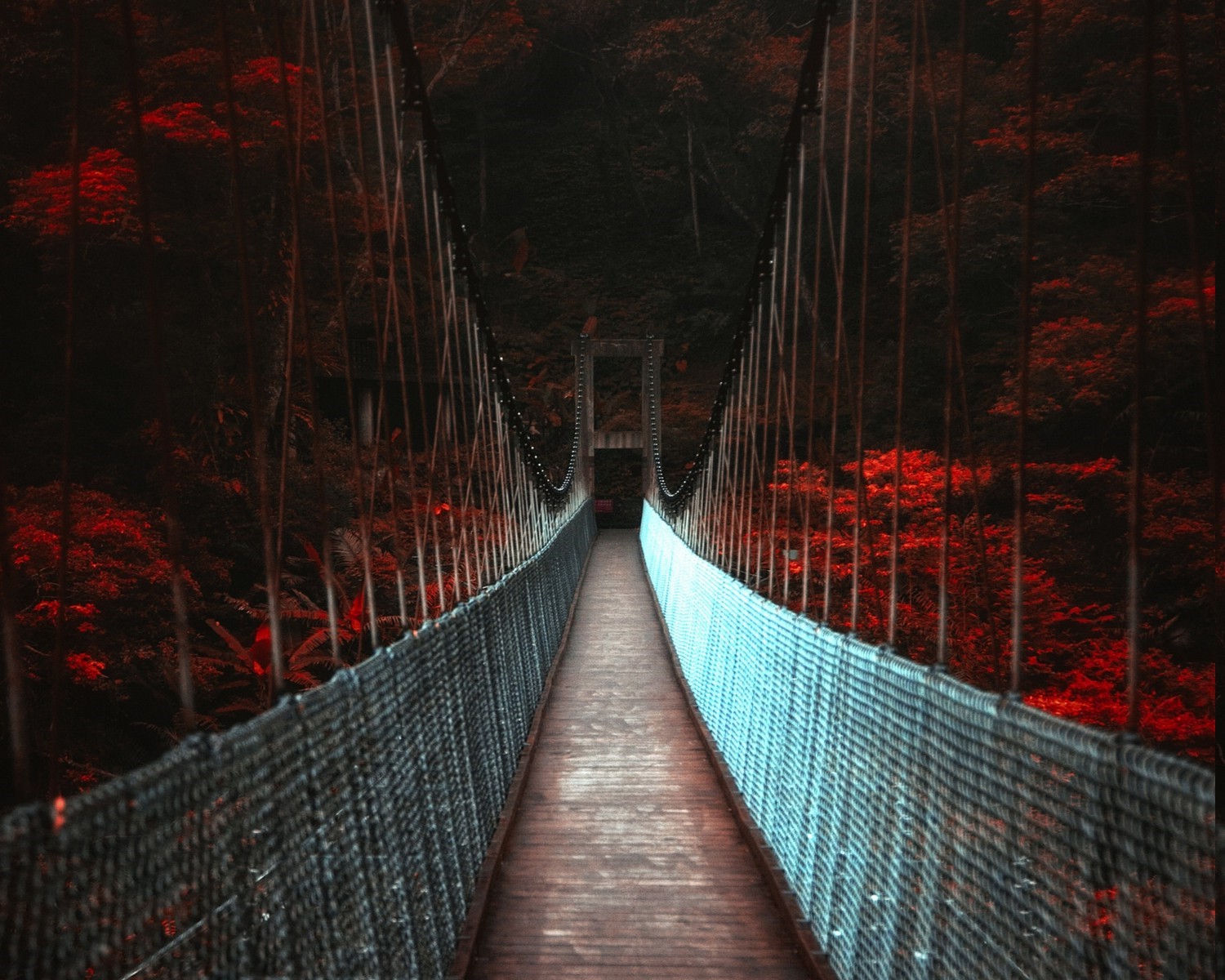landscape nature dark fall bridge trees red wallpaper