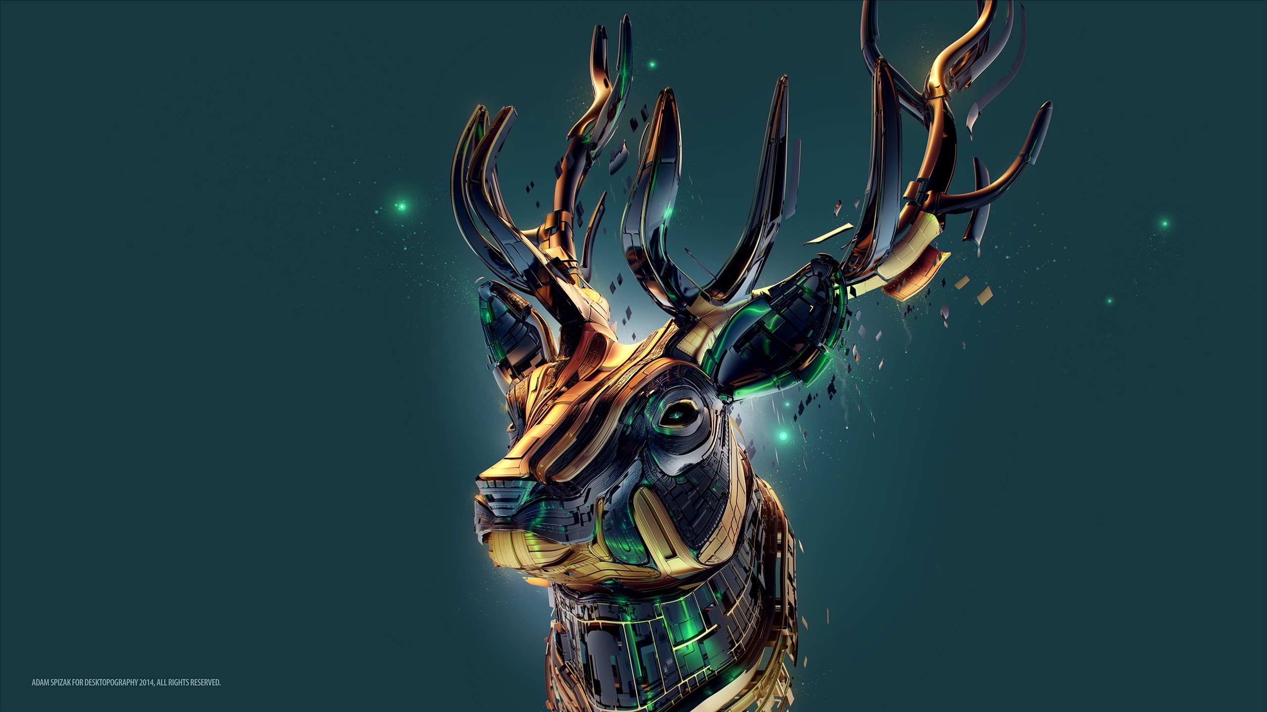 deer wallpaper 28