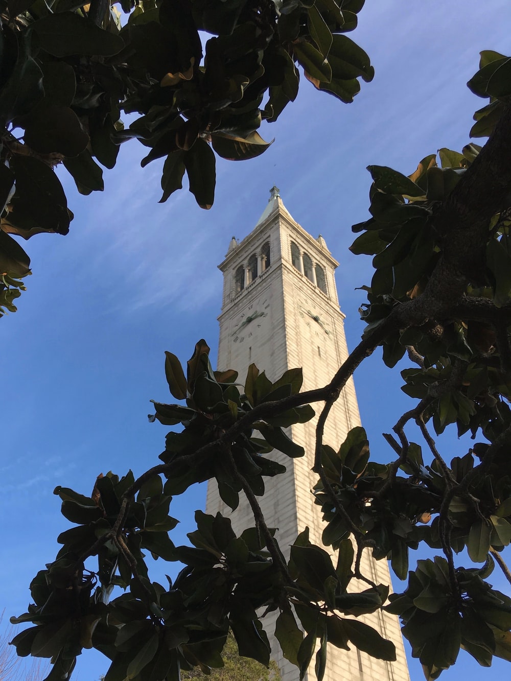 Uc Berkeley Picture. Download Free Image