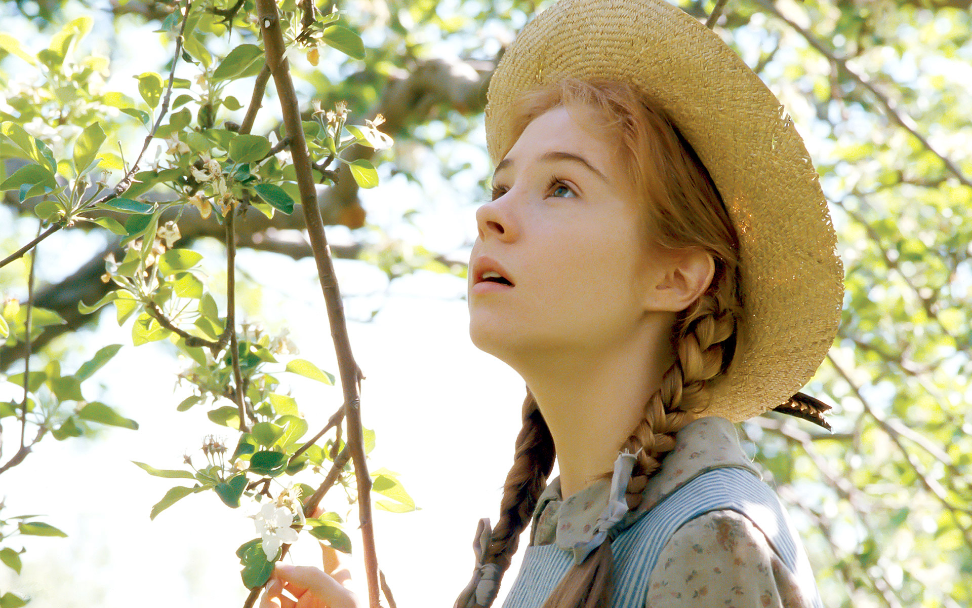 Anne of Green Gables (TV Mini Series 1985)