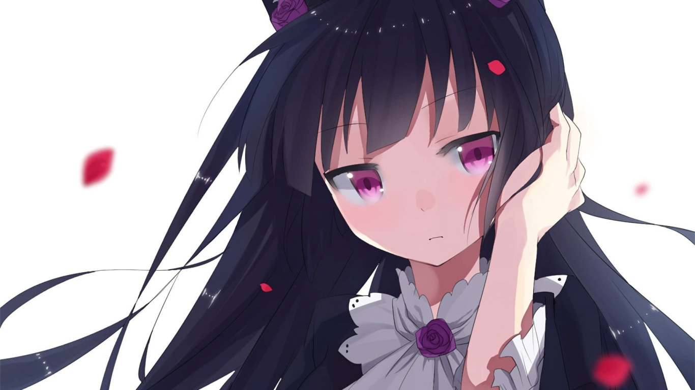 Wallpaper White Background, Animal Ears, Black Hair • Wallpaper For You HD Wallpaper For Desktop & Mobile