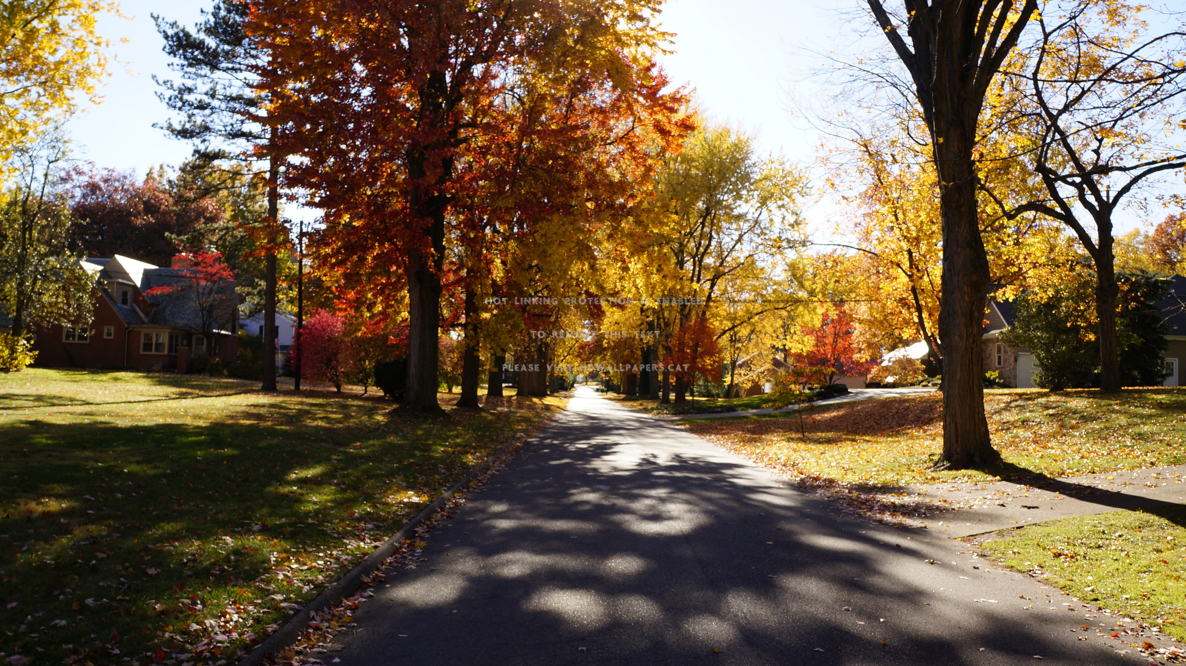 autumn shadows day fall sunny road street