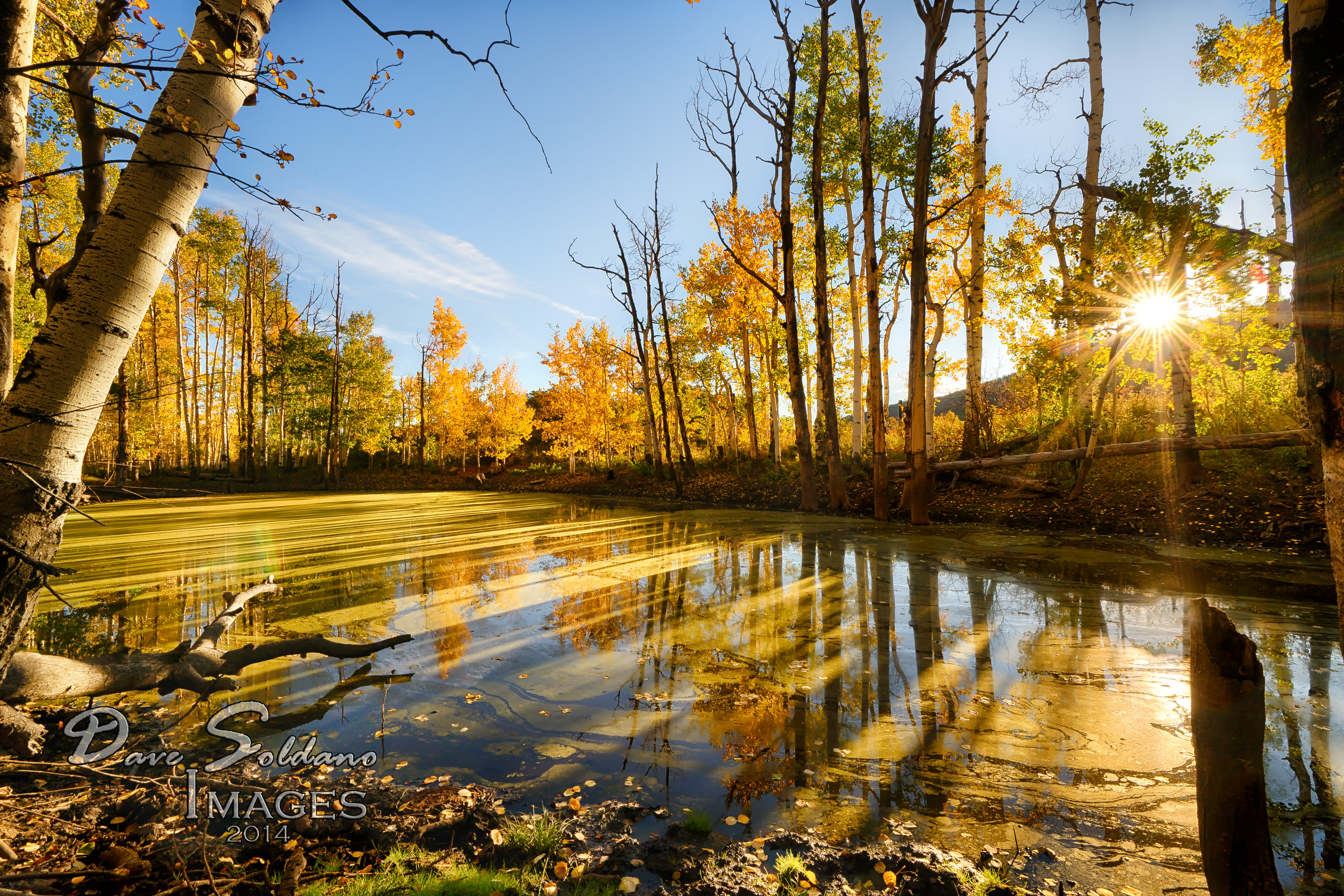 Wallpaper, sunlight, landscape, fall, leaves, lake, water, nature, red, reflection, grass, sky, branch, evening, morning, river, Sun, orange, pond, gold, Colorado, canal, peak, Bank, swamp, wetland, rays, tree, autumn, shadows, leaf
