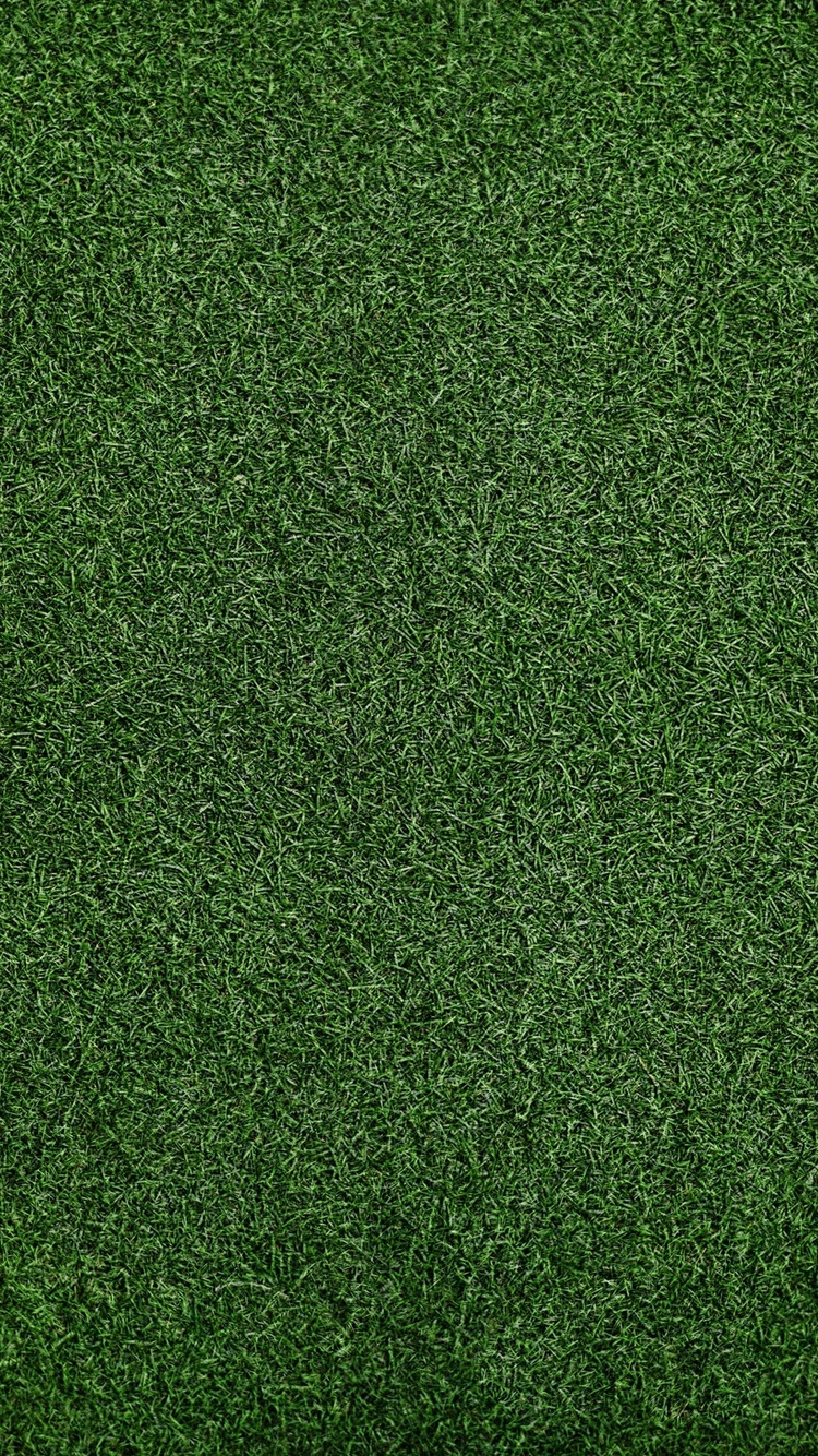 Grass Background iPhone iPhone 6S, iPhone 7 HD 4k Wallpaper, Image, Background, Photo and Picture