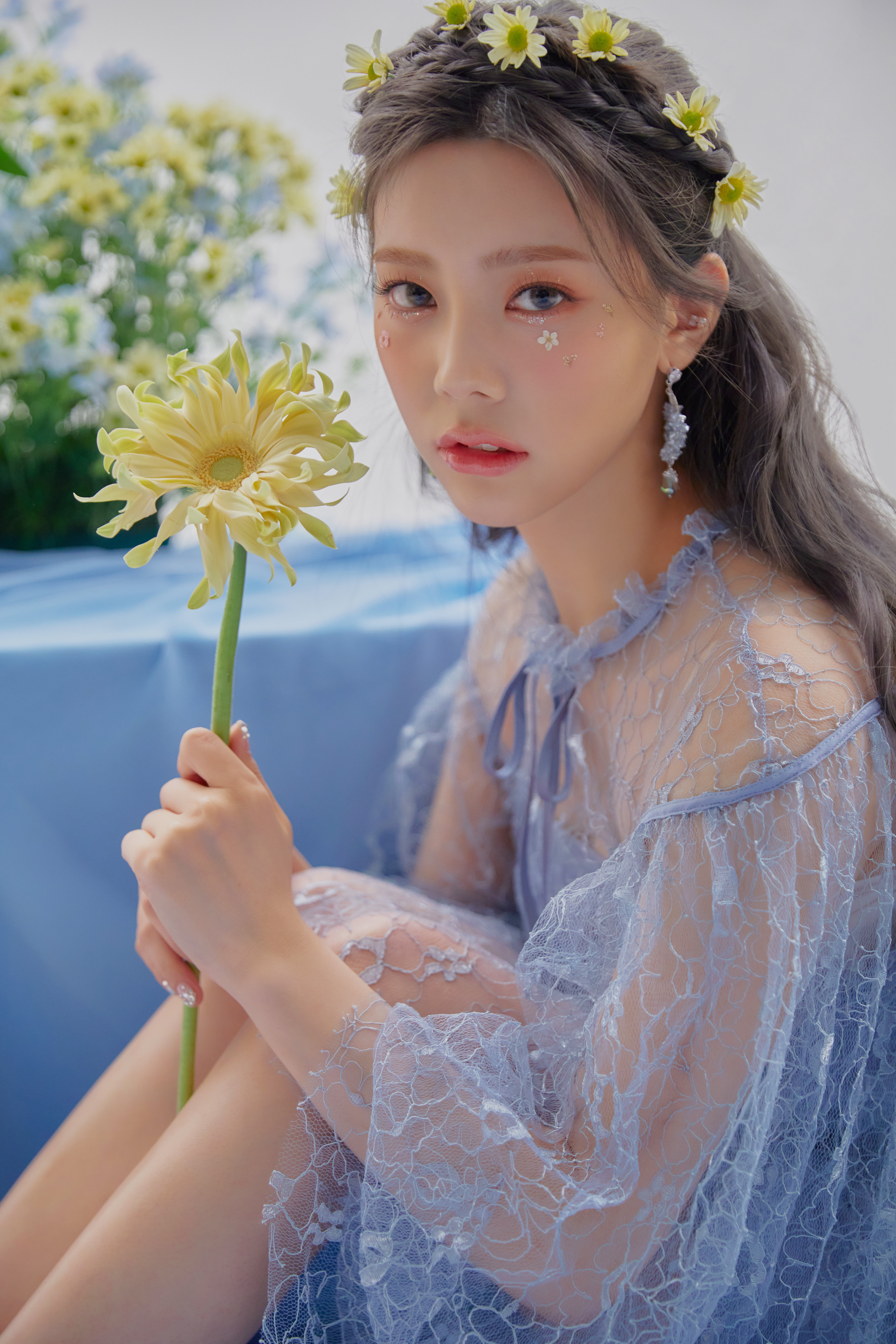 DIA Flower 4 Seasons Concept Photo (HD HQ HR)-Pop Database Dbkpop.com