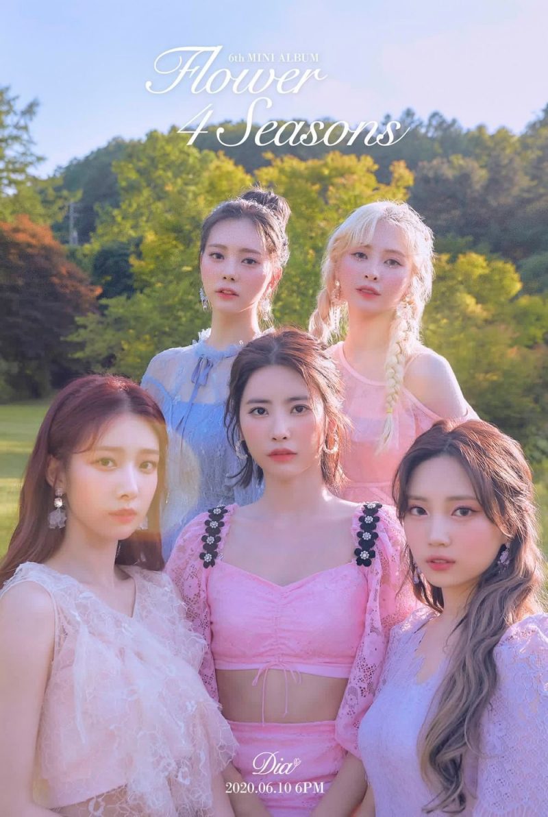 DIA Members Profile (Updated!)