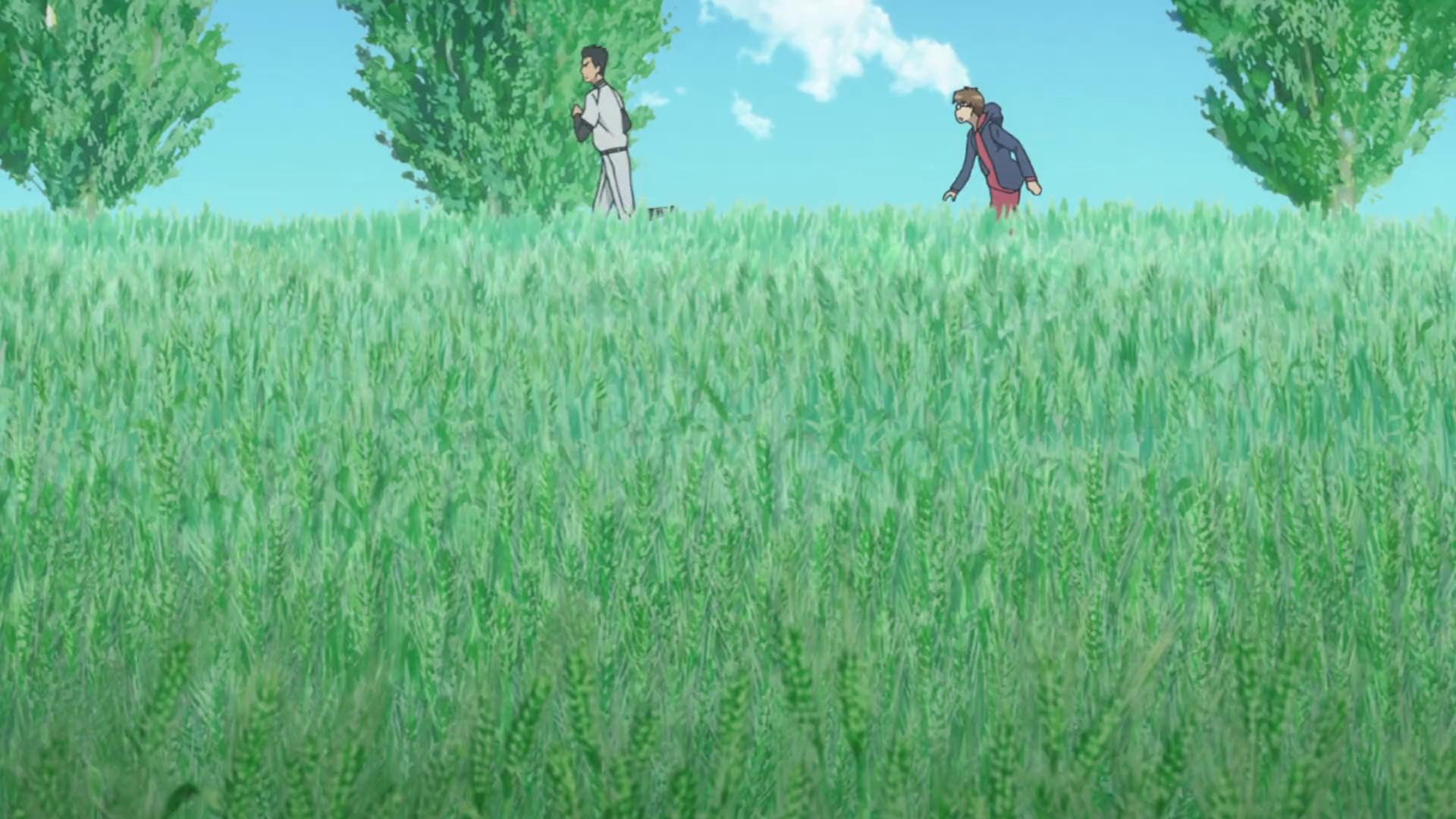 HorribleSubs] Gin no Saji [1080p].mkv