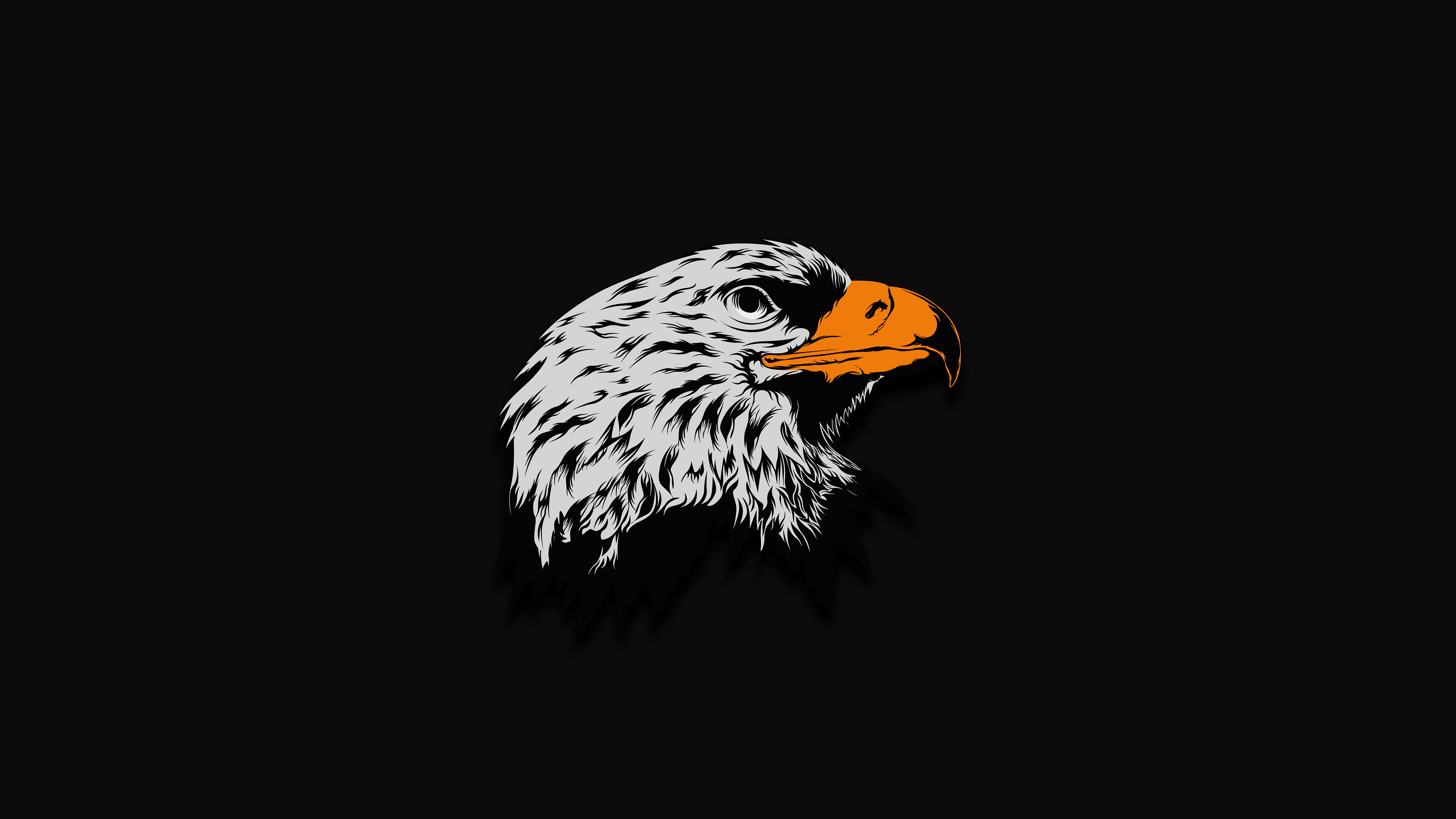 Eagle Wallpaper 4K, Bird of prey, Raptors, Red eyes