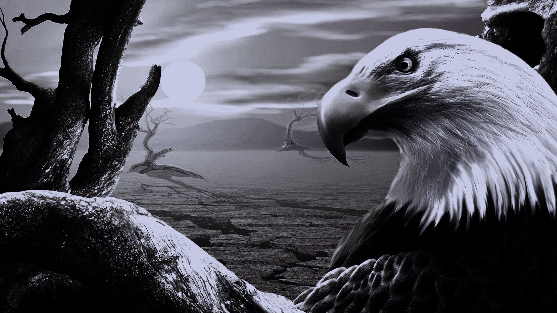 1920x1080 black eagle background