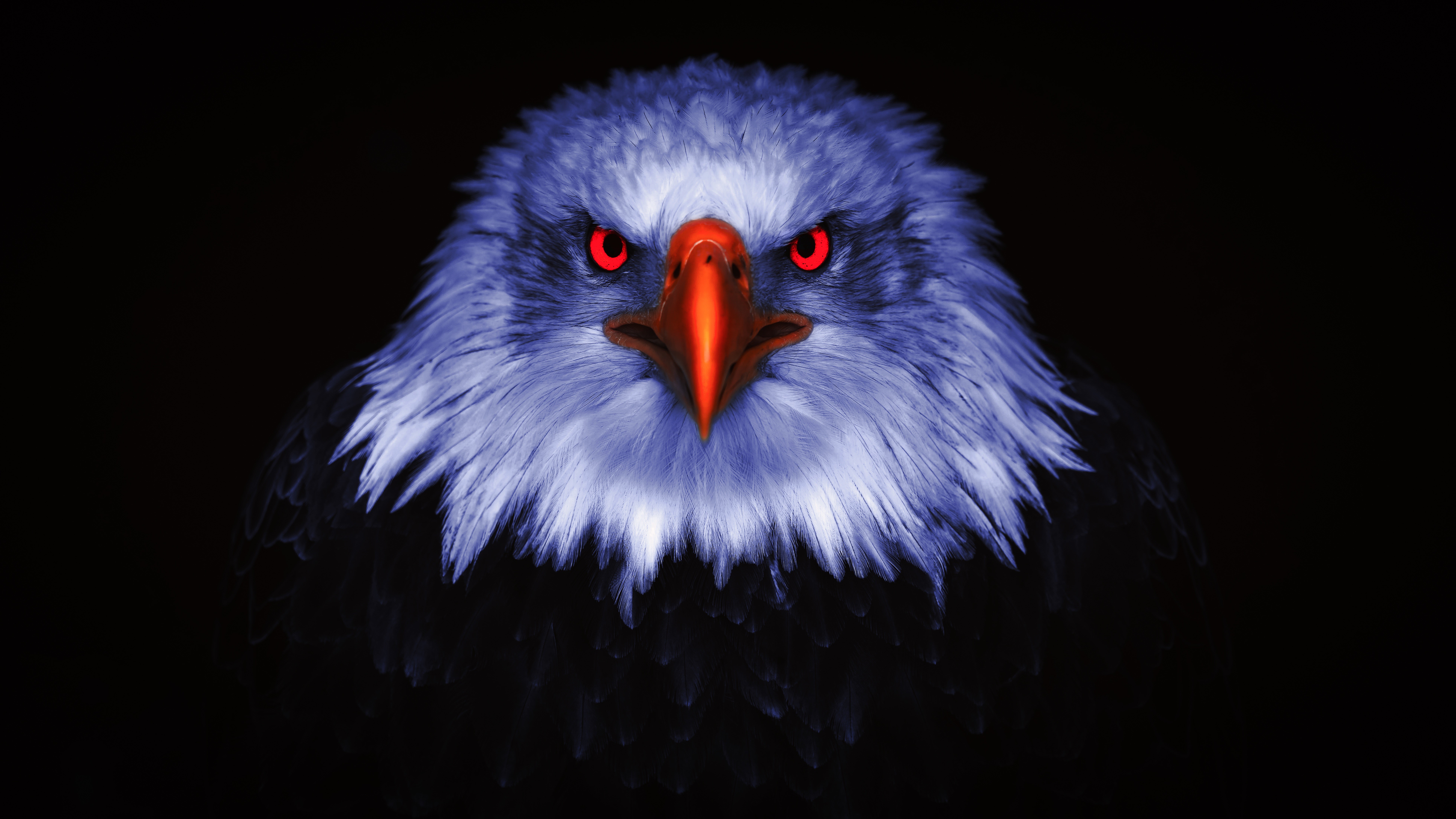 Eagle Wallpaper 4K, Bird of prey, Raptors, Red eyes, Animals
