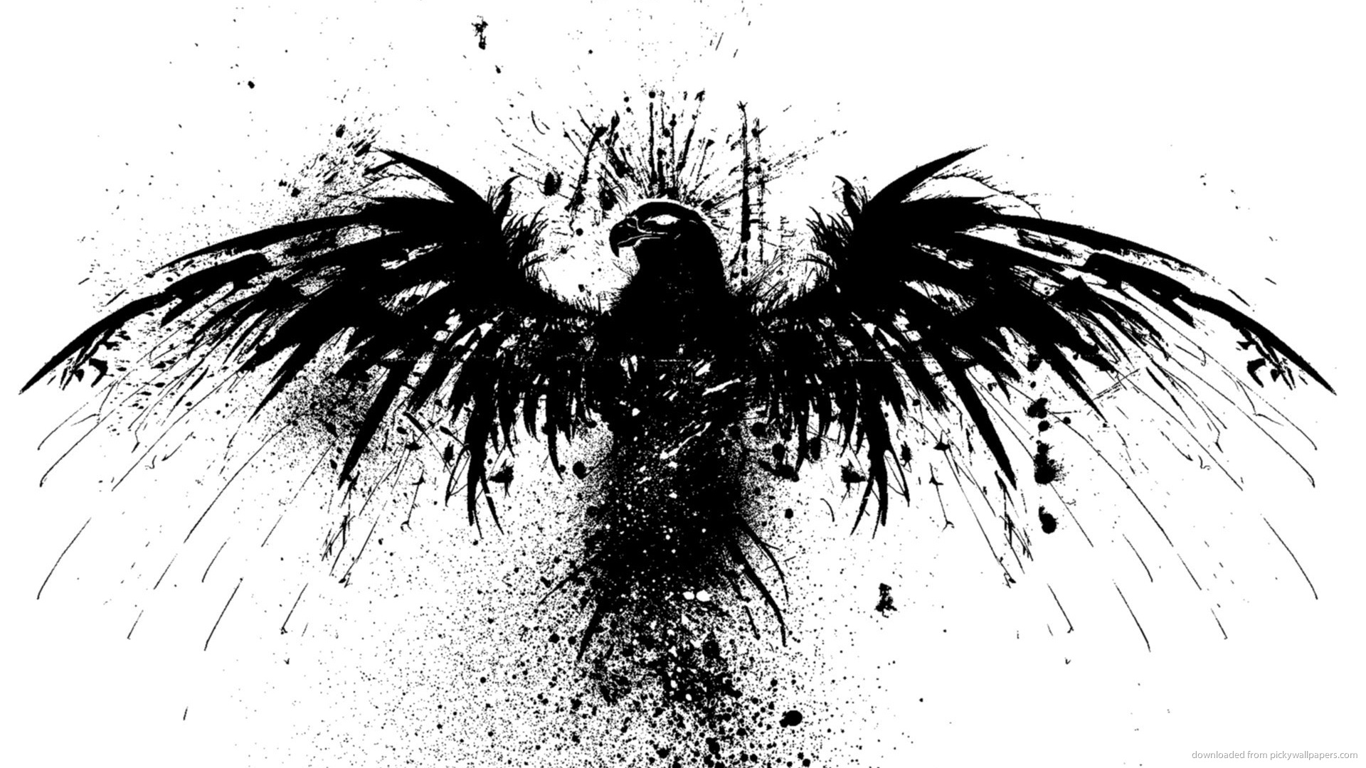 Black Eagle Desktop Wallpaper