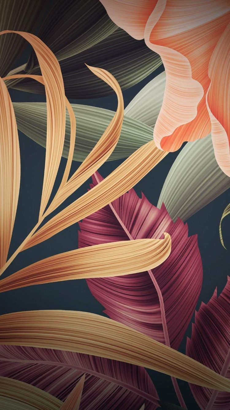 Wallpaper For iPhone 6 Summer. Phone wallpaper patterns, iPhone wallpaper, iPhone background wallpaper