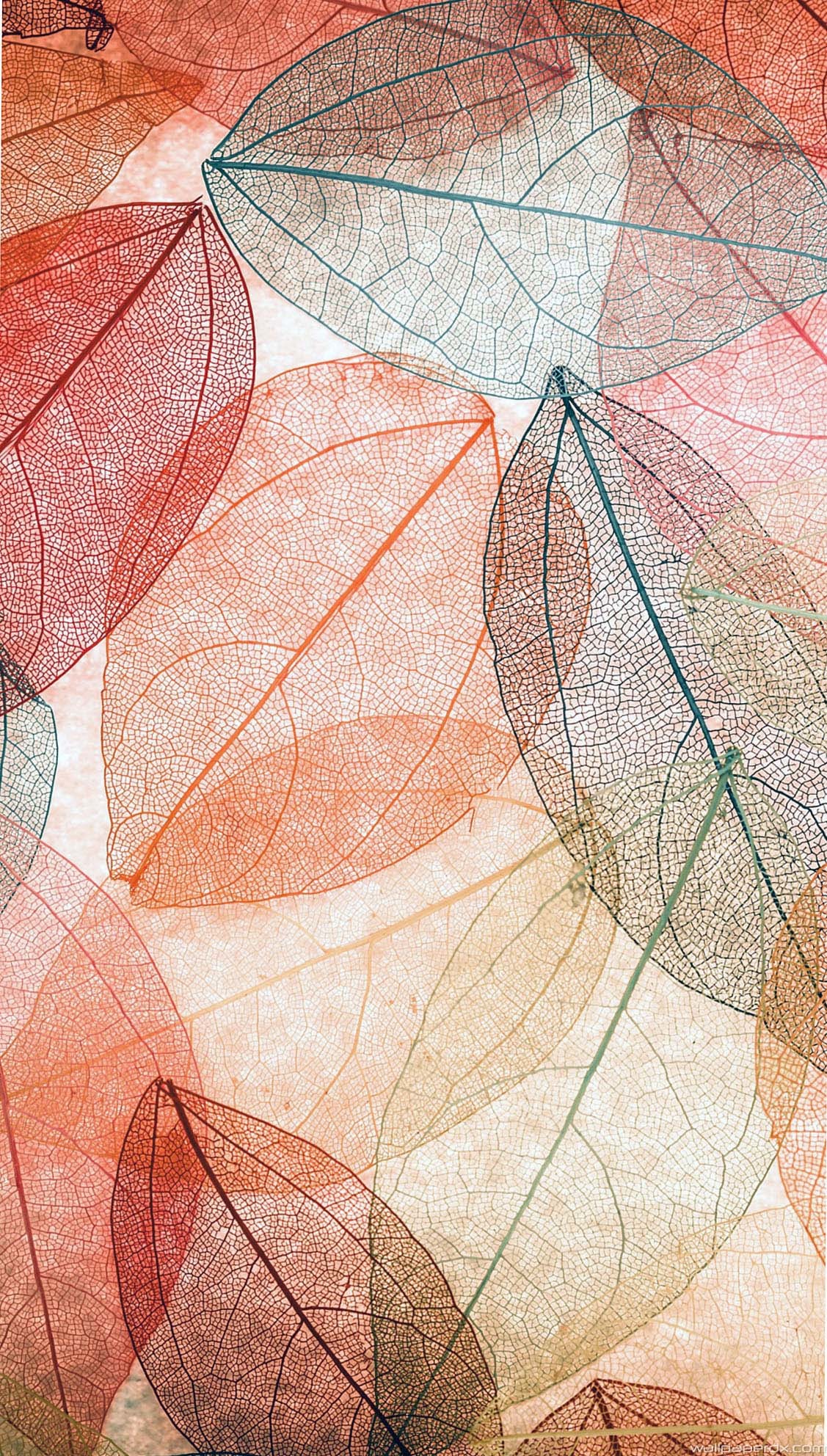 Abstract Fall Wallpaper
