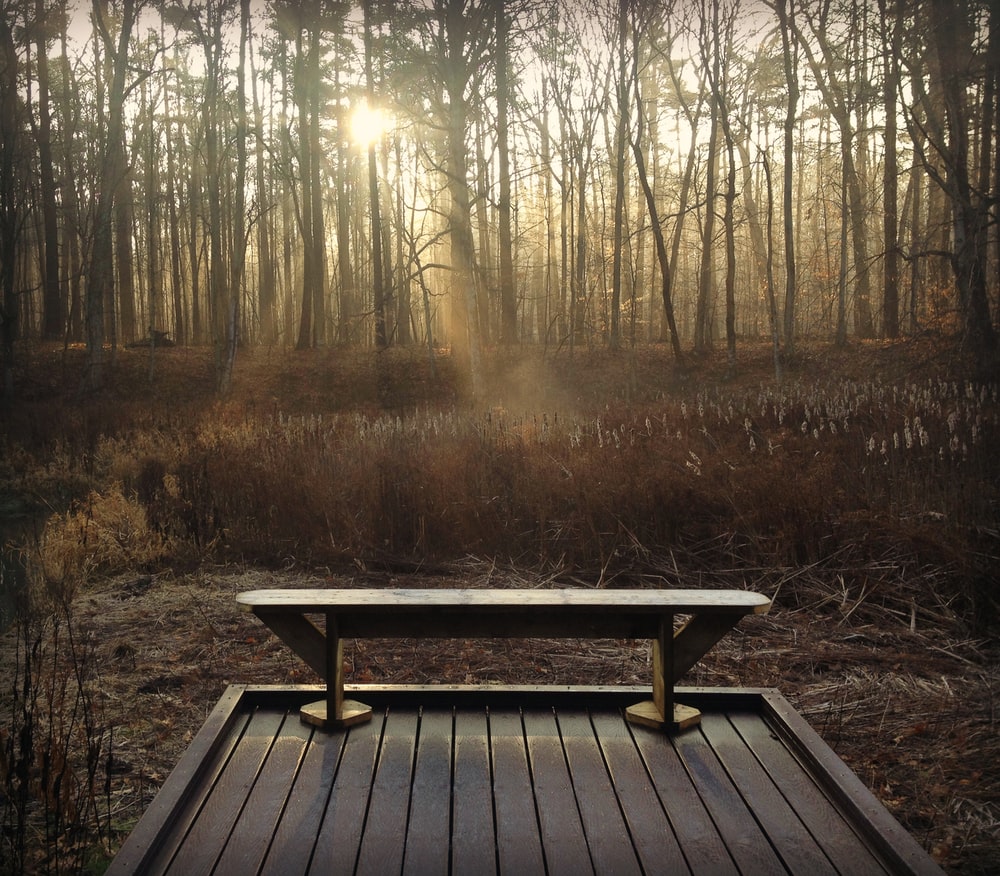 Picnic Table Wallpapers - Wallpaper Cave