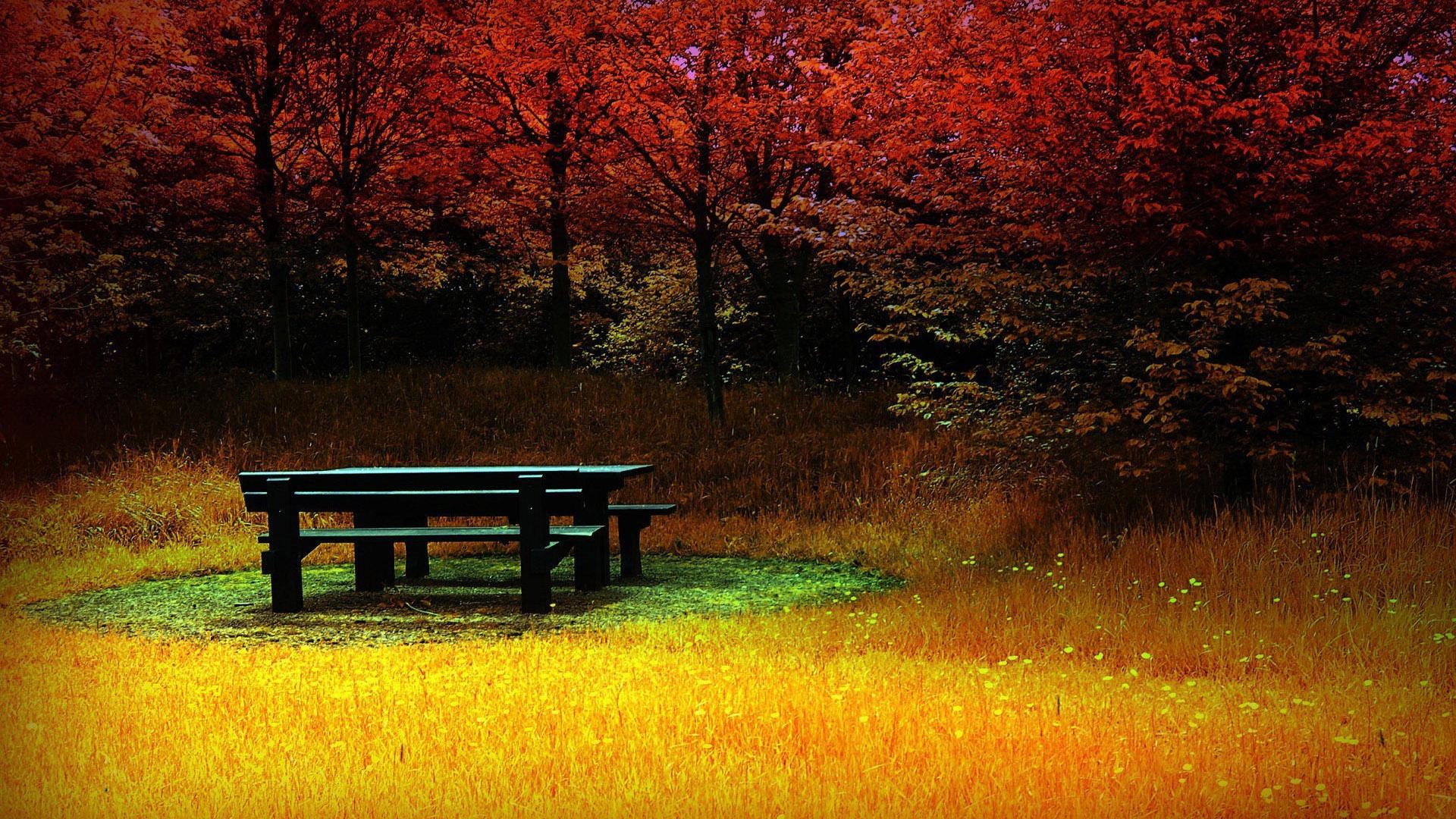 Picnic Table Wallpapers - Wallpaper Cave